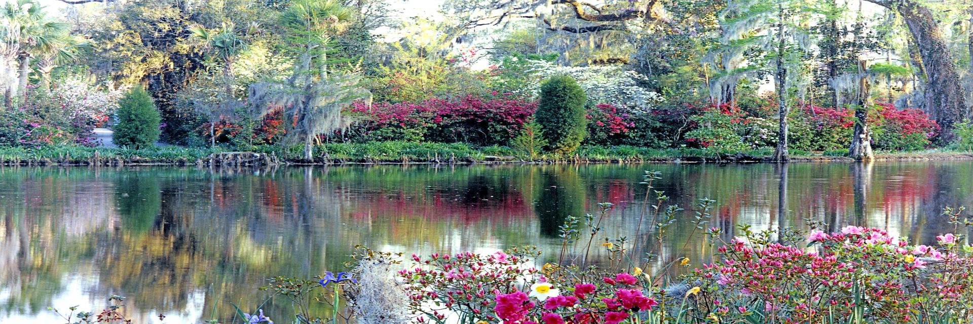 00760p gardens, flowers, azeala, lake, spanish moss,,.jpg