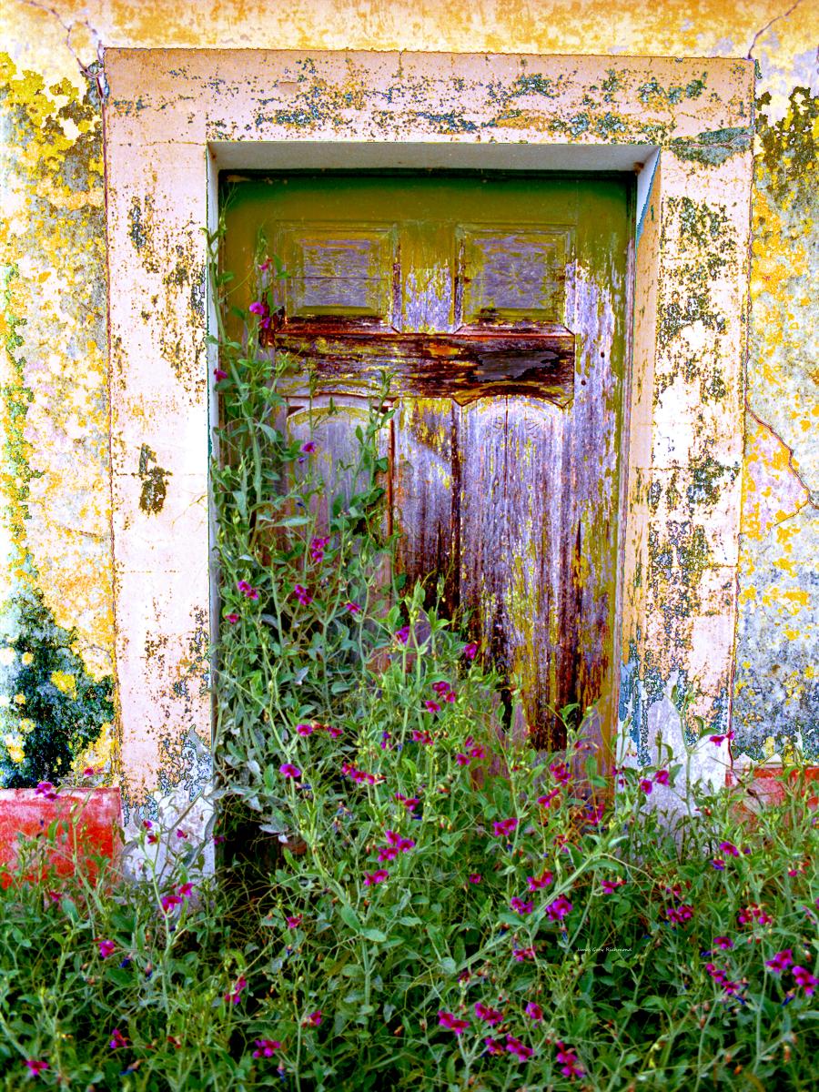 10984 gardens, portugal, door,, .jpg
