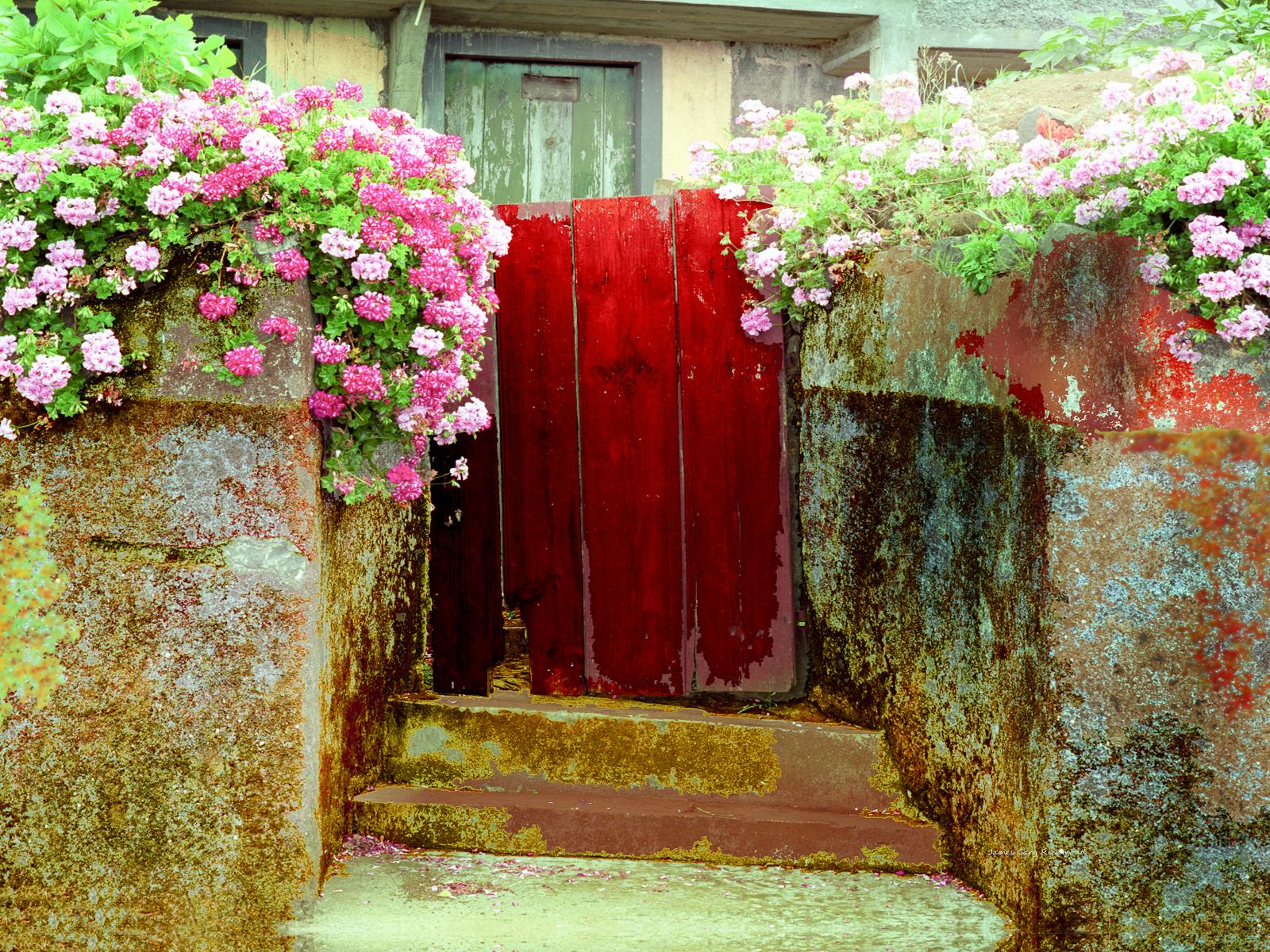 11041 architecture, doors,  portugal, floral ,, .jpg