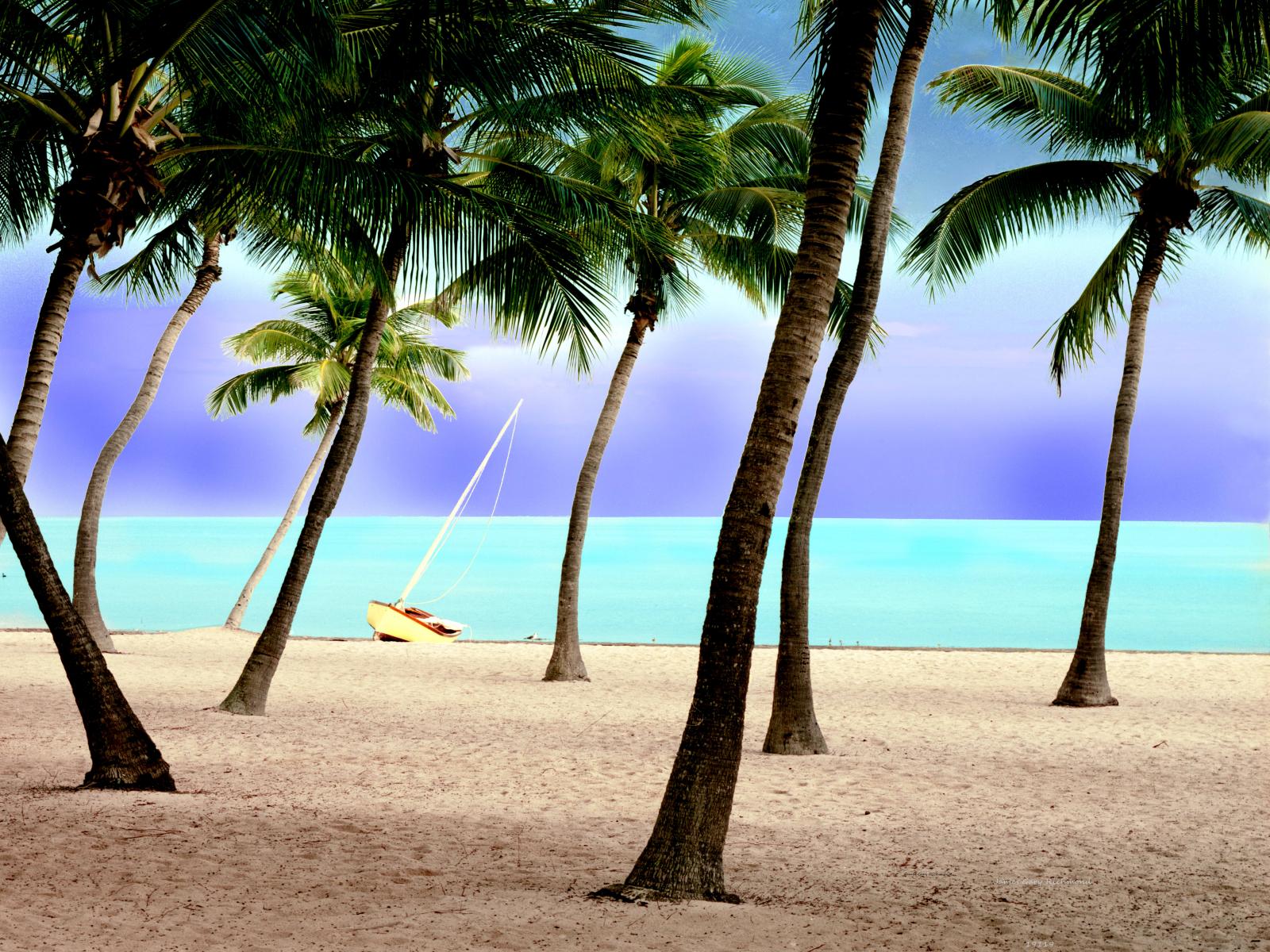 19119 seascape, tropical, coconut trees,, .jpg