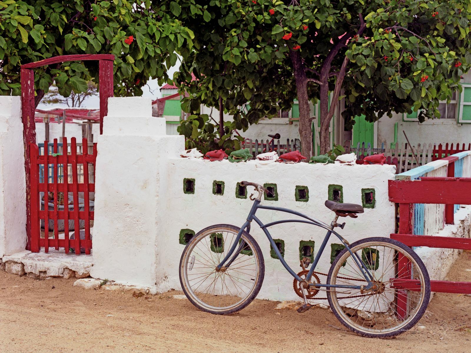 19584 bicycle, caribbean, tropical,, .jpg