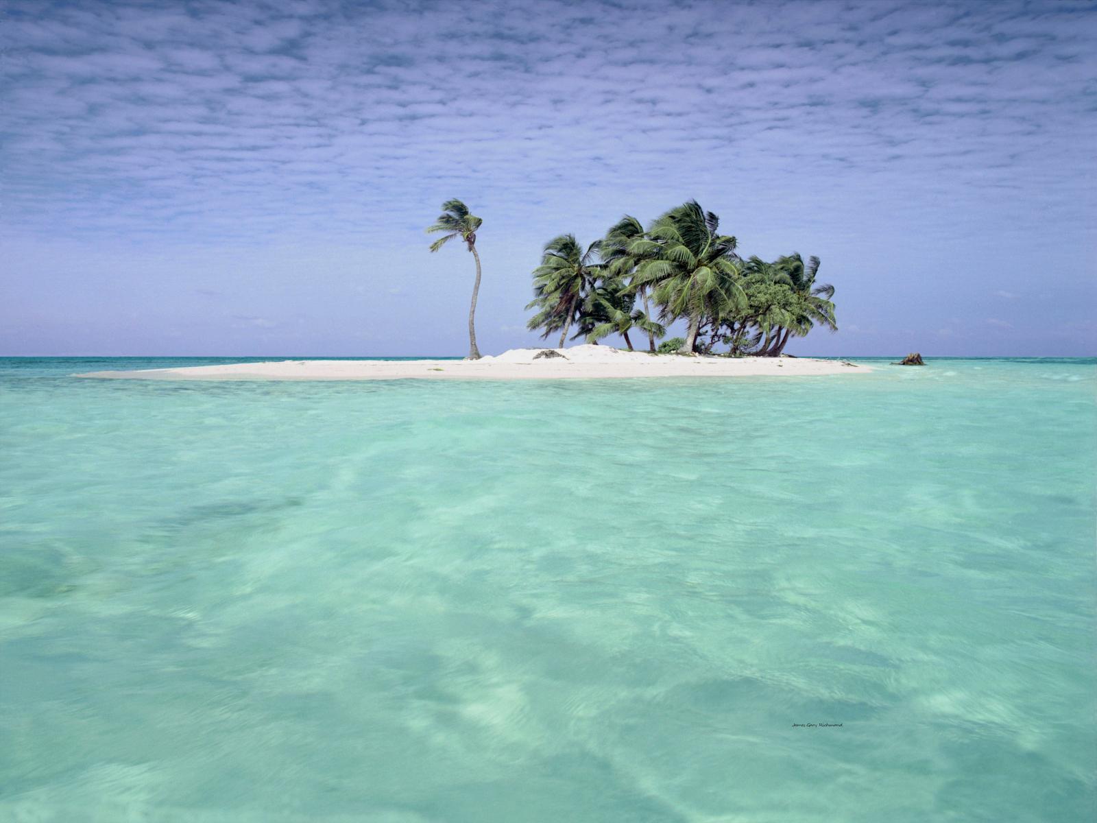 20236 seascape, caribbean, islands, tropical, coconut trees,, .jpg