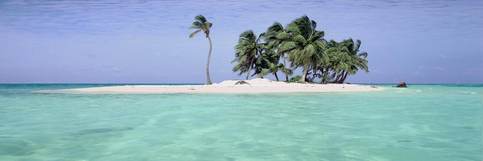 20236p seascape, caribbean, islands, coconut trees, tropical,, .jpg