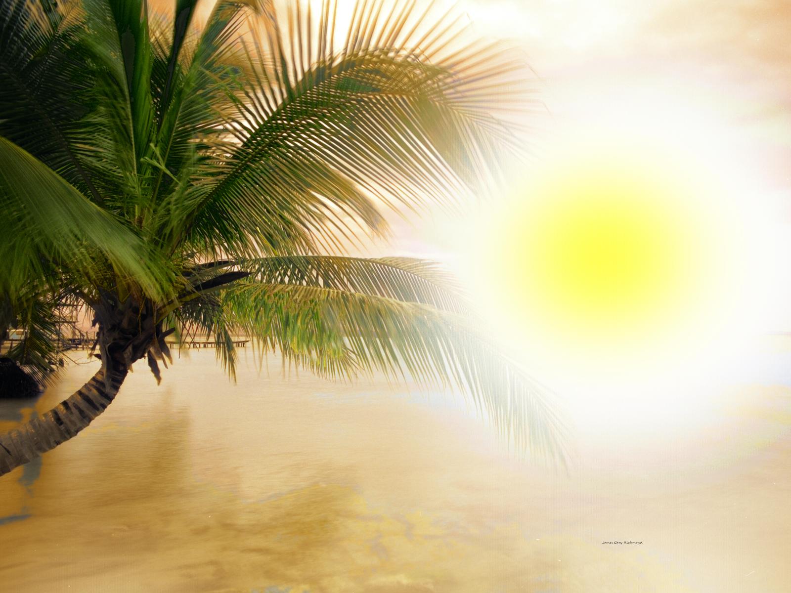 21157 seascape, sunrise, fantasy, coconut tree Tropics ,, .jpg