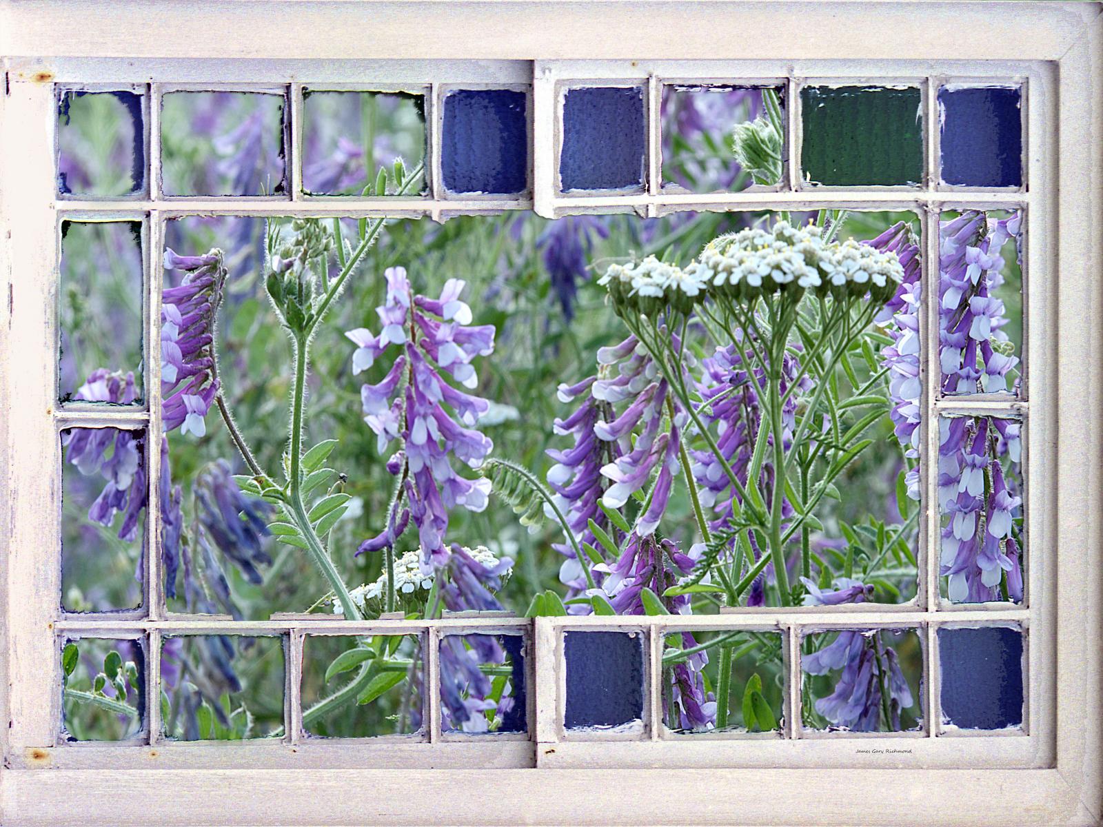 21806 floral, garden,  wildflowers in window,,.jpg
