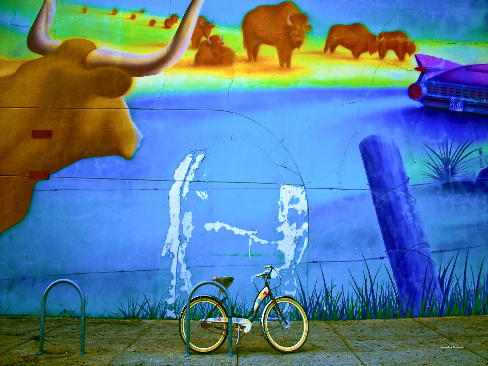 21859 mural, bicycle, Austin Tx.,,.jpg