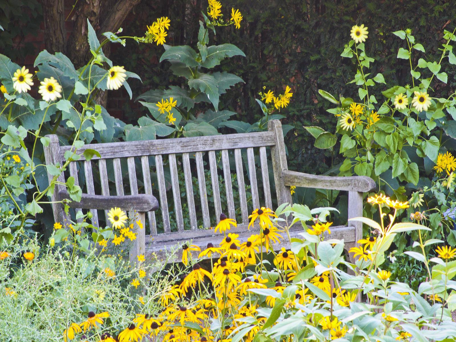 22873 floral, garden, garden bench,,.jpg