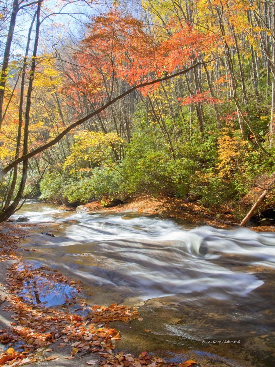 38883  nature, river, fall color change,,.jpg