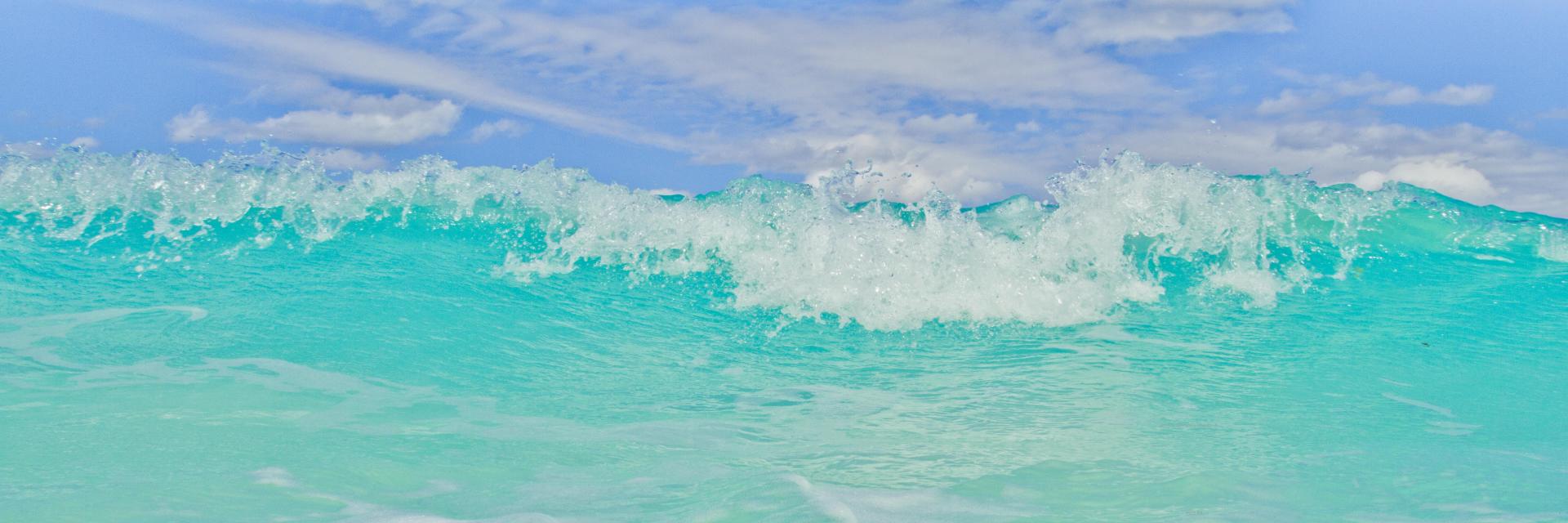 40291p seascape, surf, crashing waves, tropical, bahamas,, .jpg