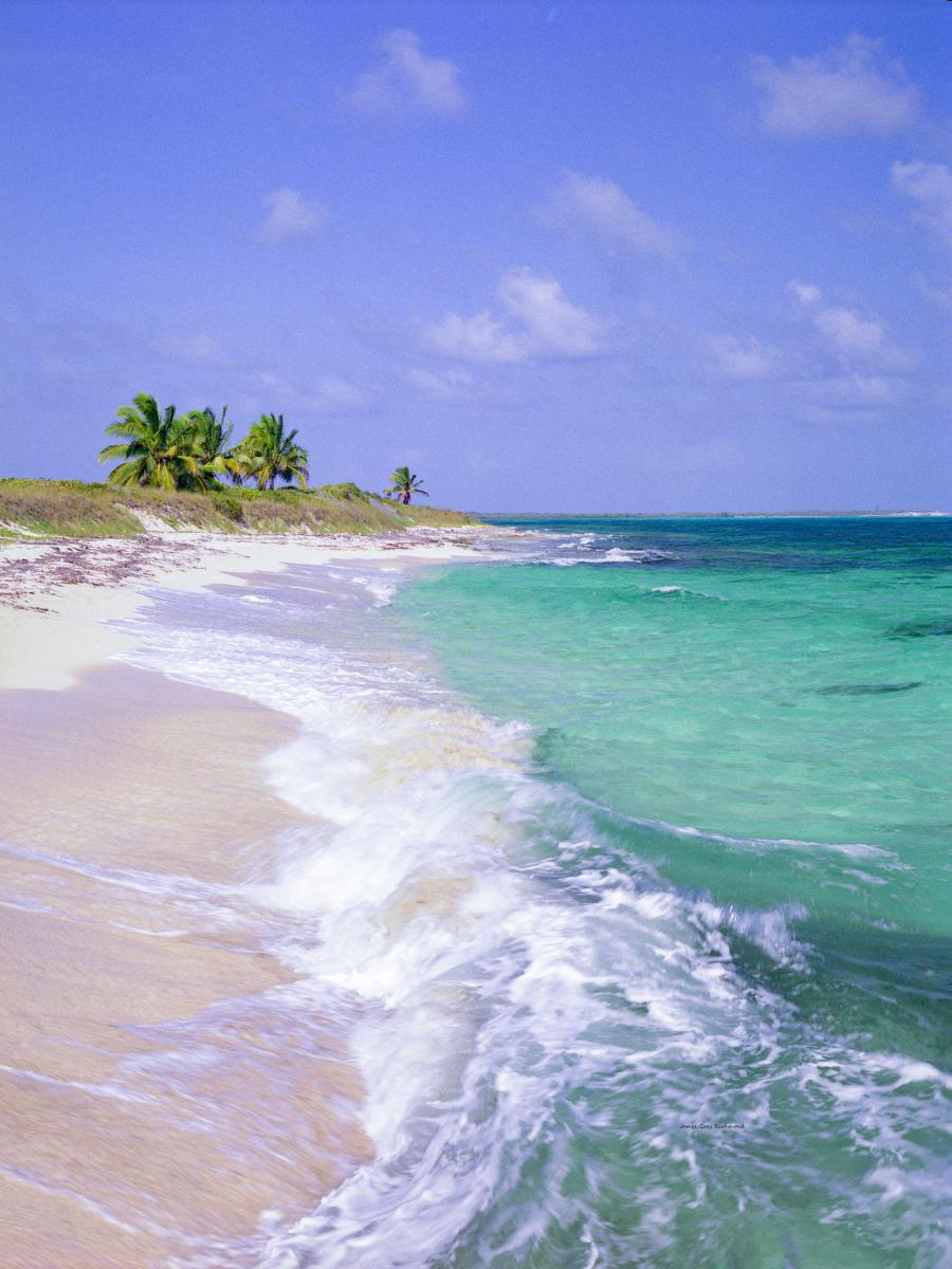 60910  seaside, seascape, crashing surf, caribbean, coconut trees, tropical,,.jpg