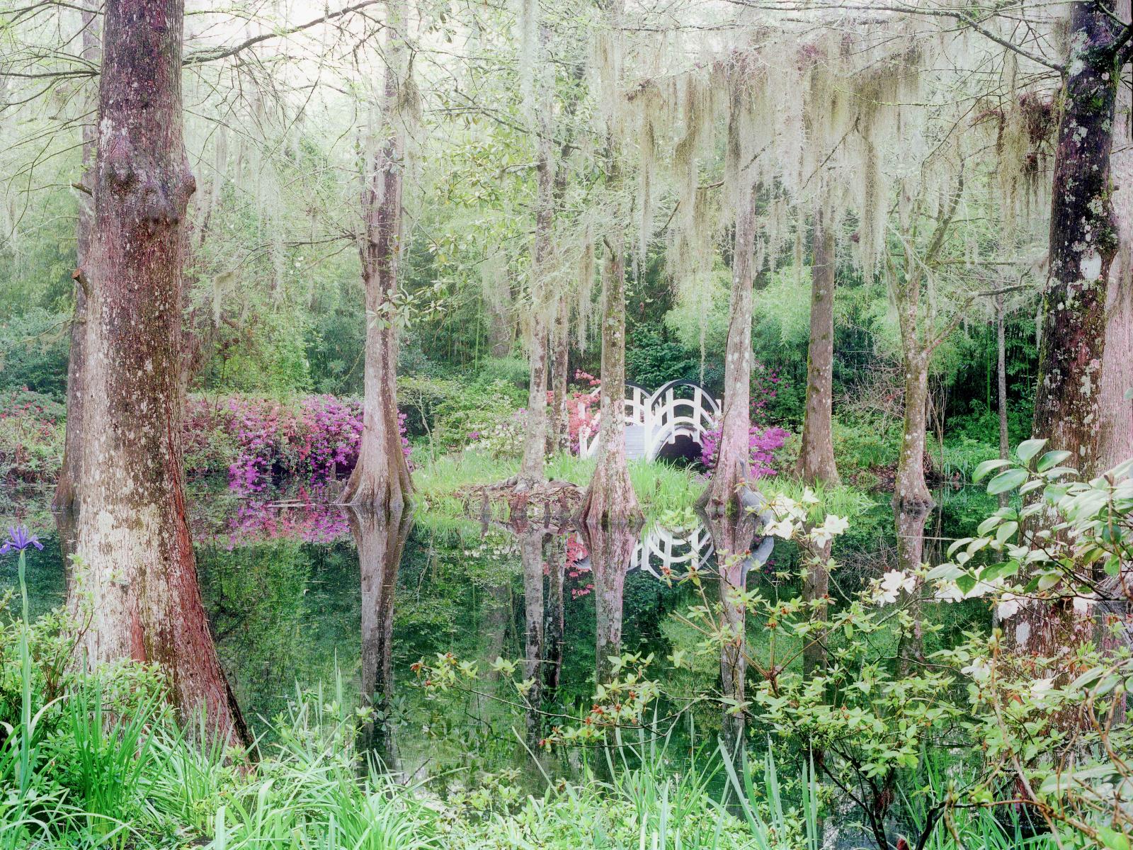 10085 floral, garden, pond, reflection, bridge,,.jpg