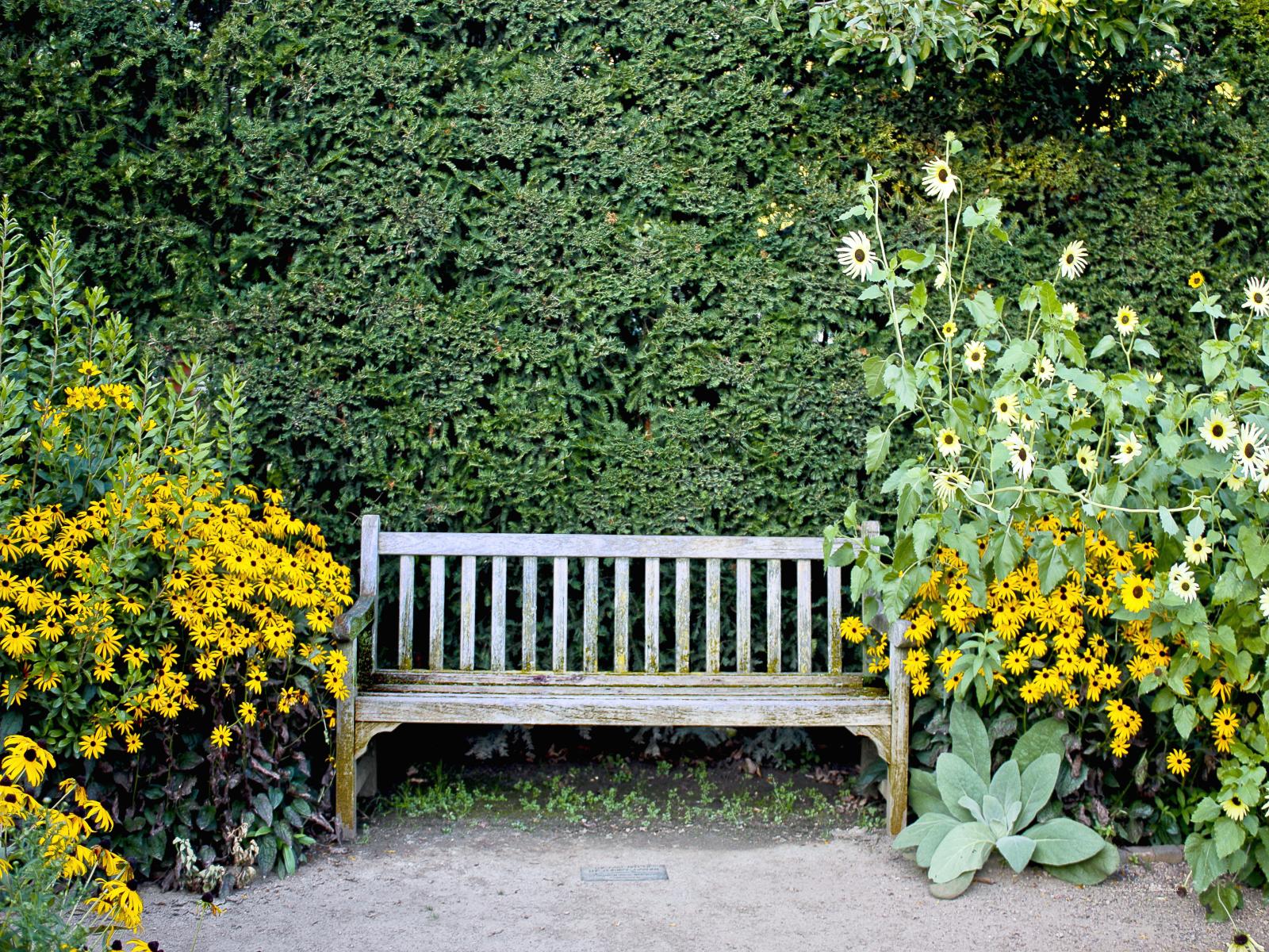 22891 garden, floral, garden bench,,.jpg