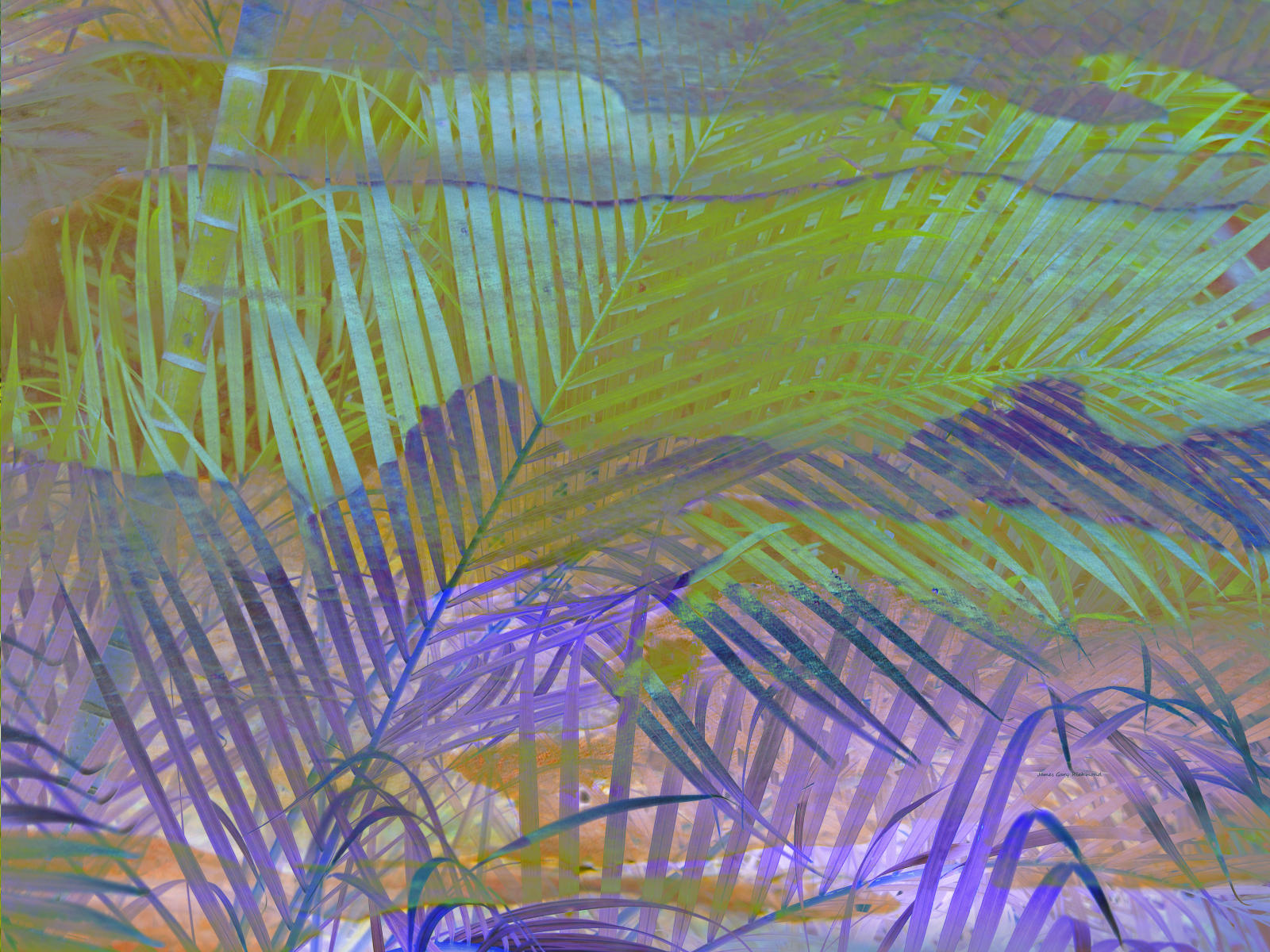 64753 painted  coconut leaf.jpg