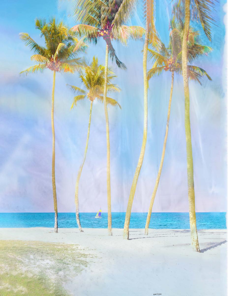 64759 painted palms, caribbean, tropical, sailboat, 5 copy.jpg