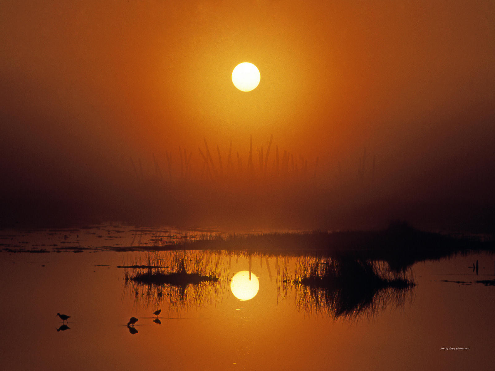00953 nature, wetlands, sunset, .jpg