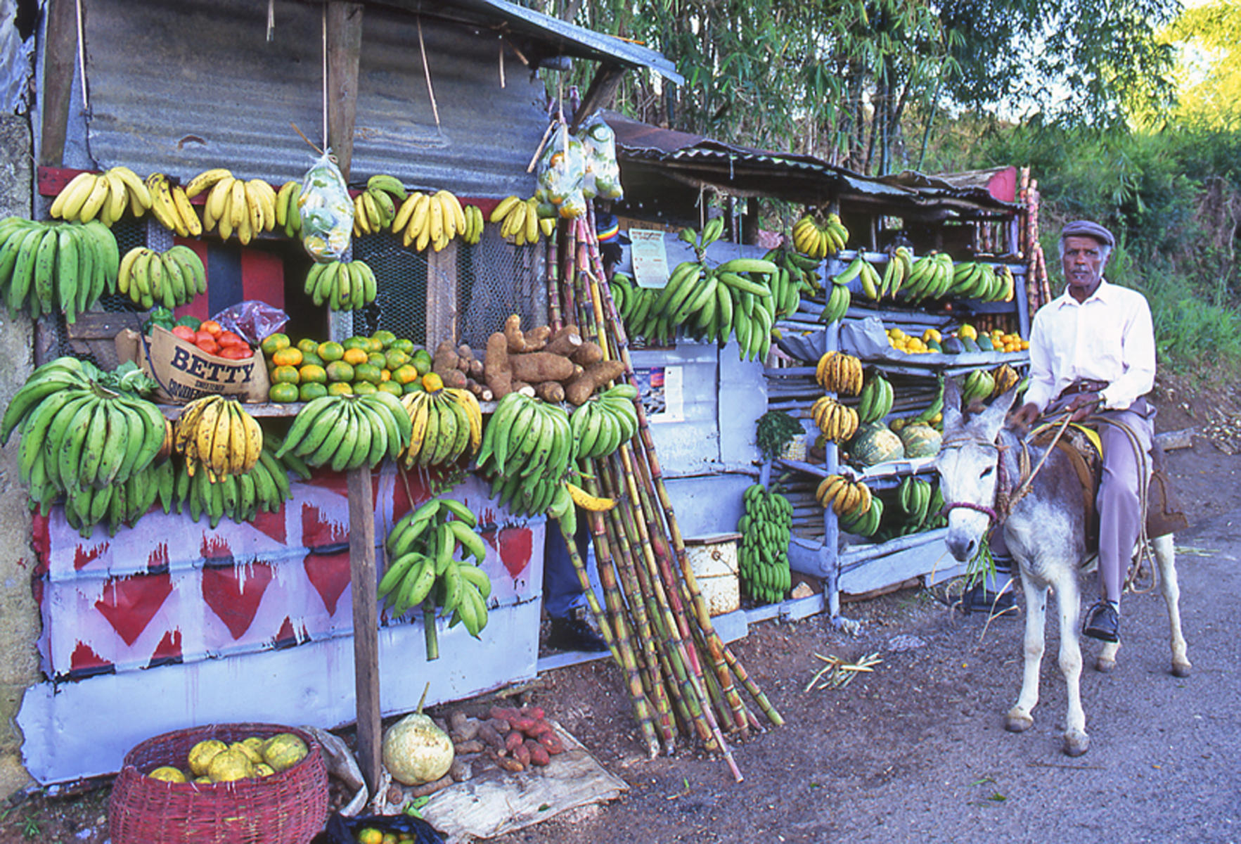 2732ws  lifestyle,  caribbean, jamaica,people,donkey, fruit,street.jpg