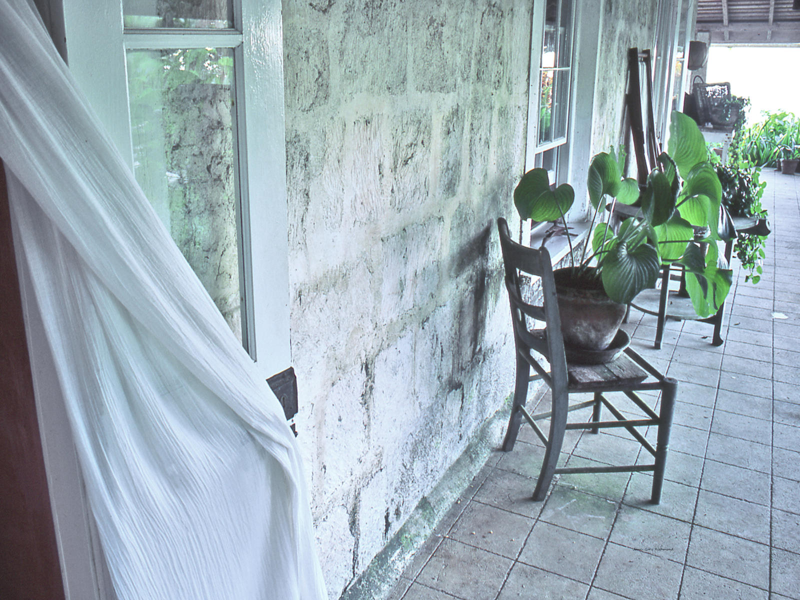02949 architecture, caribbean, jamaica, house, .jpg