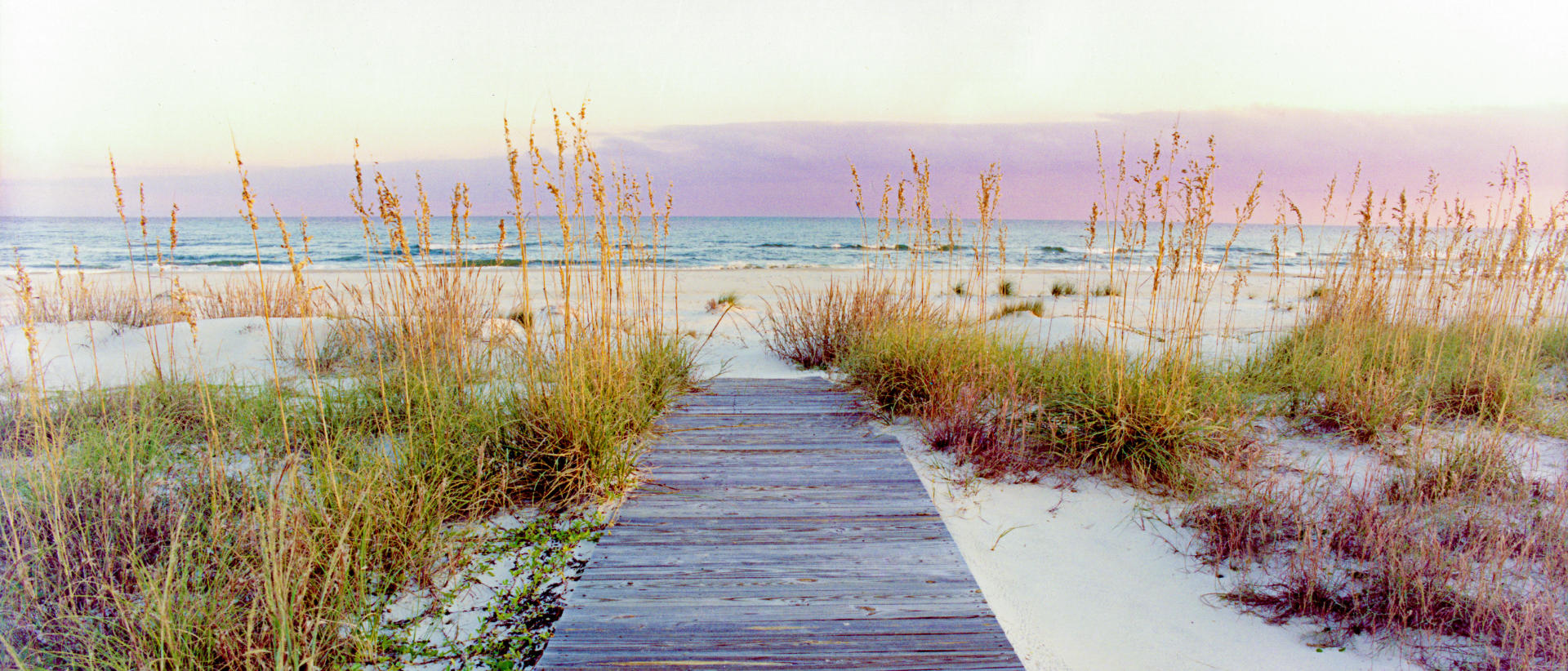 4535p seascape, beach, seaoats,  pathway to peace .jpg