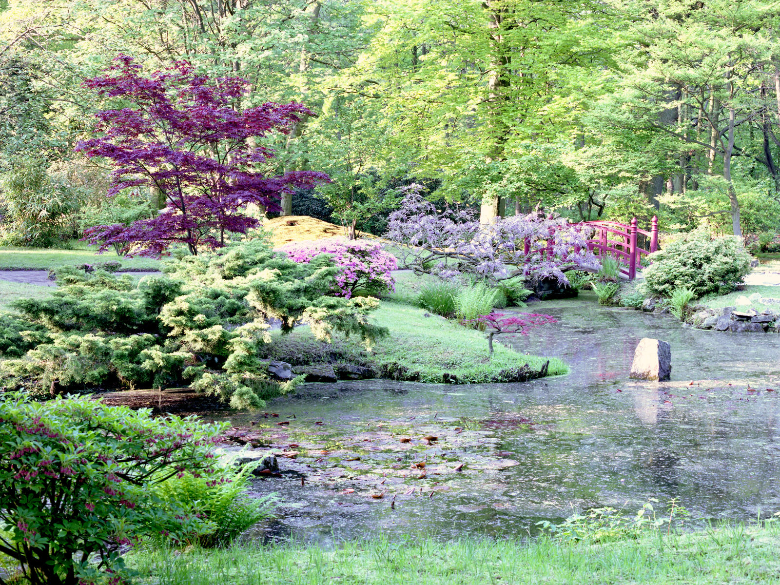 07069 nature, dutch garden .jpg