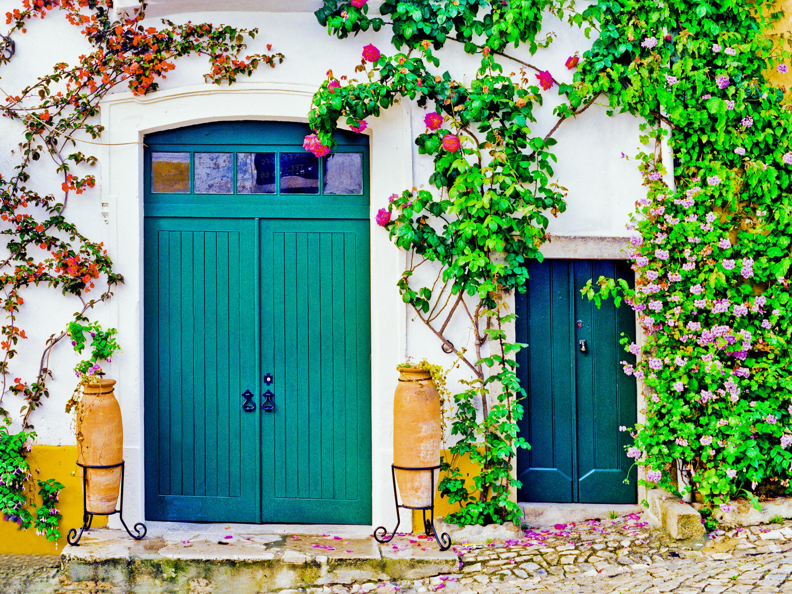 10682 architecture, street scene, flowers, obidos, portugal .jpg