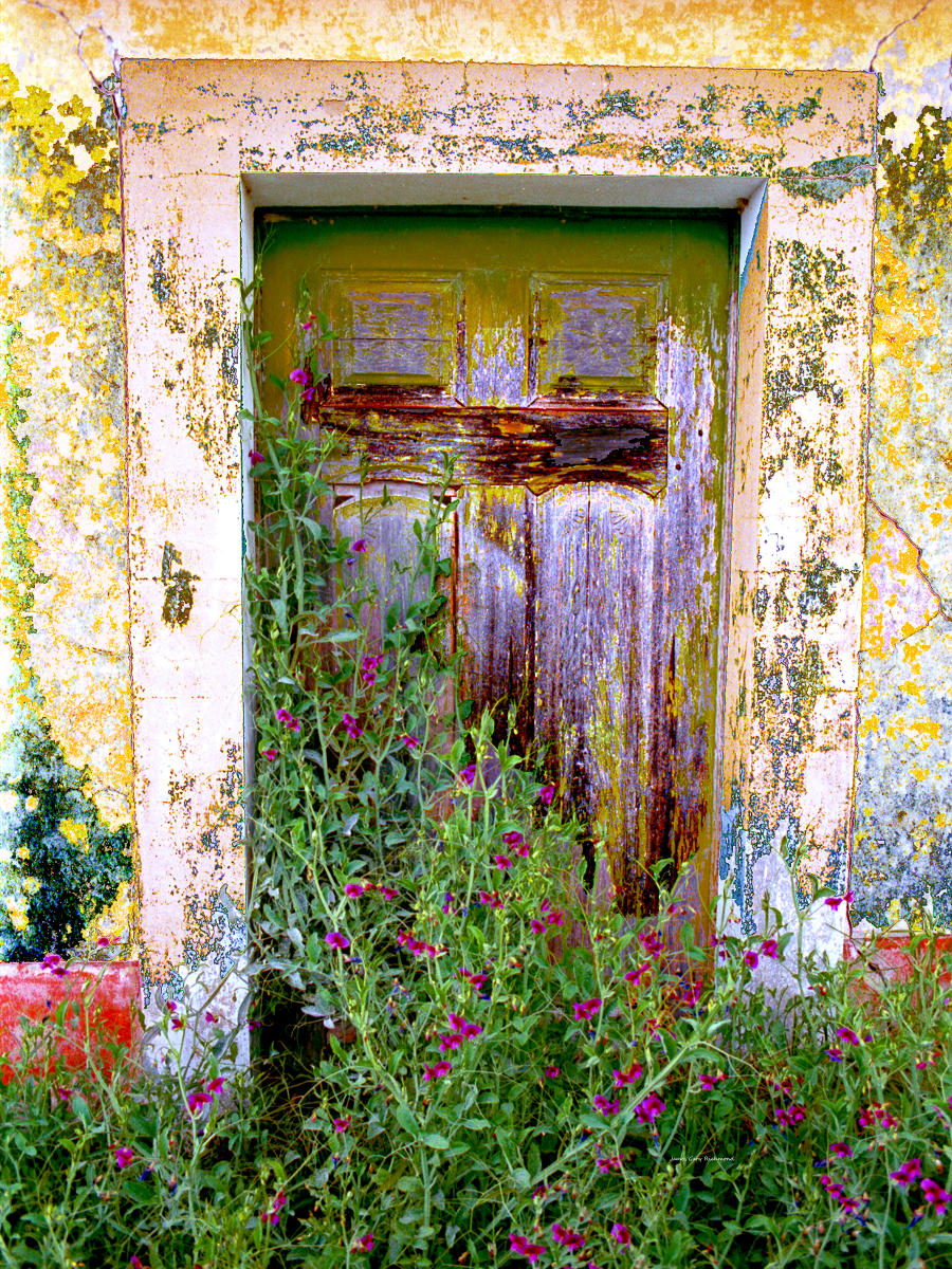 10984 architecture, gardens, portugal, door, .jpg