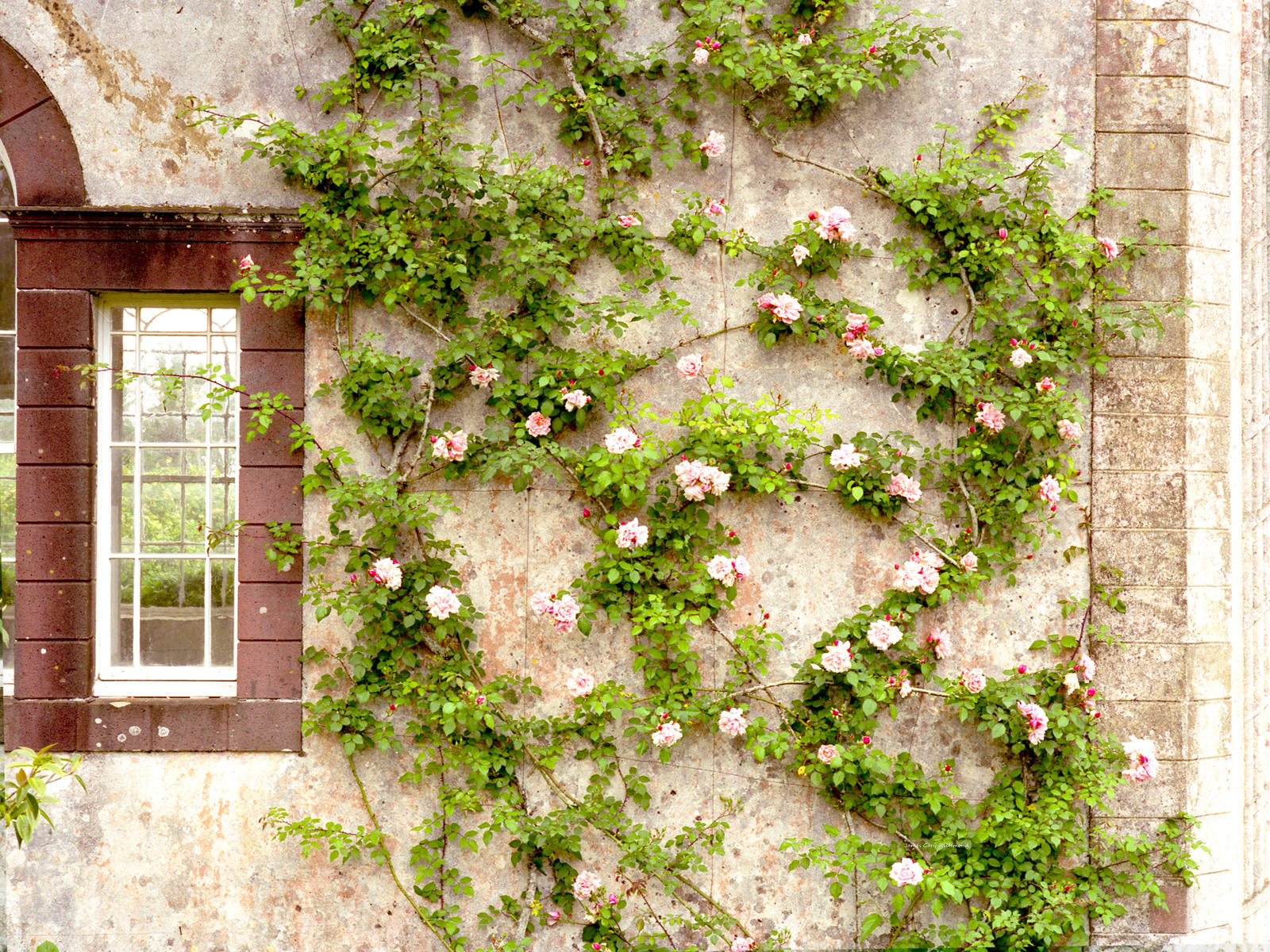 11258 architecture, garden, maderia, portugal  .jpg