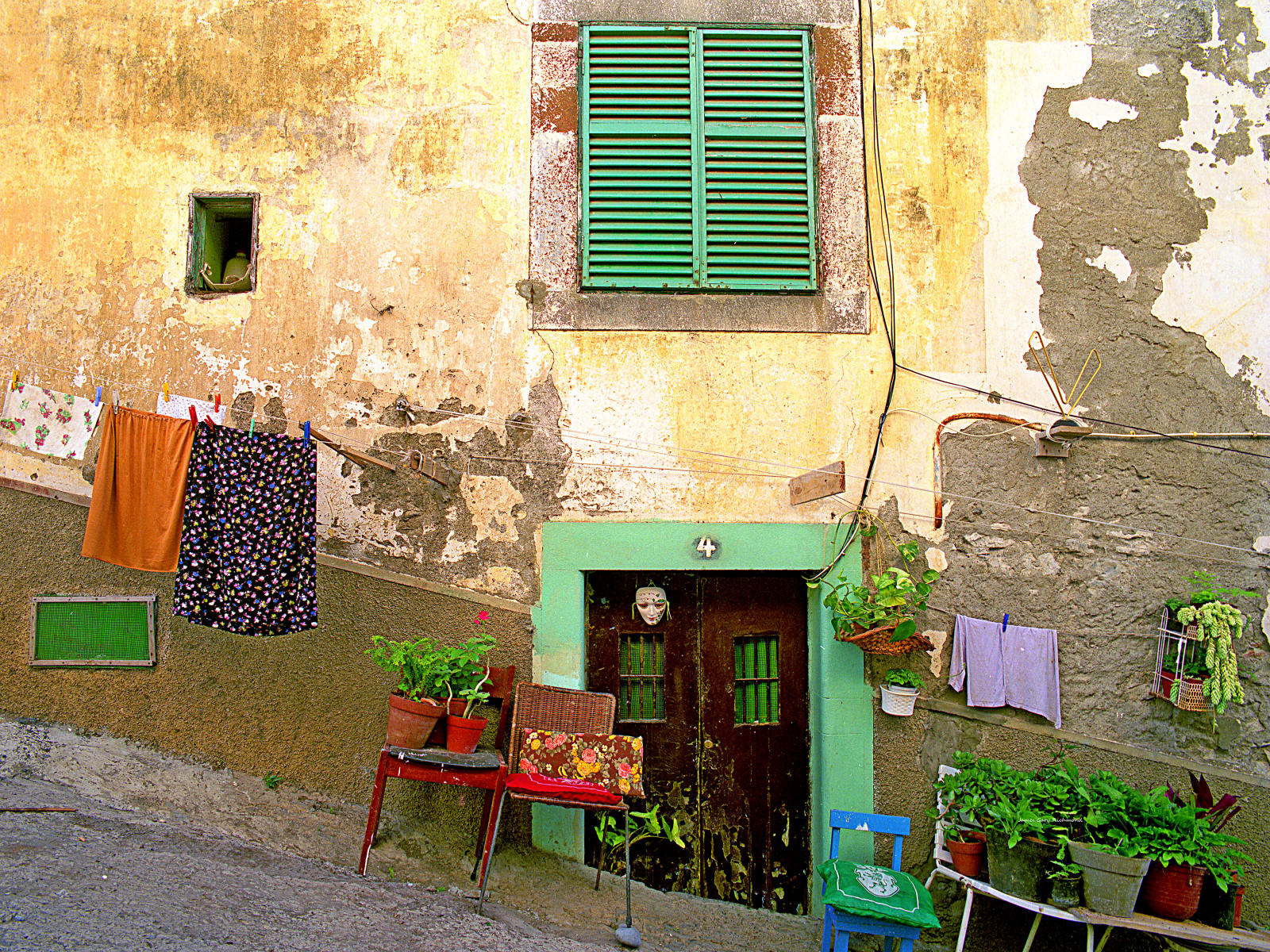 11579 architecture, doors, windows, street scenes, maderia portugal, .jpg