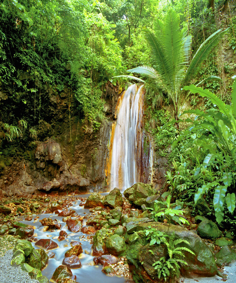 12366 nature,  st lucia diamond falls, caribbean, waterfall, tropical .jpg