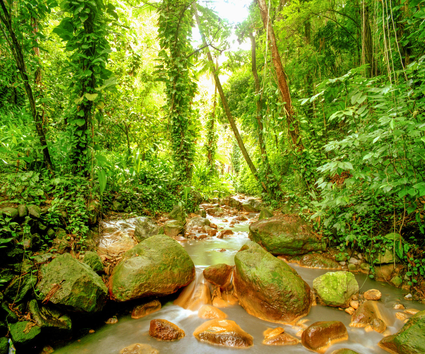 12445 nature, st lucia diamond falls river .jpg