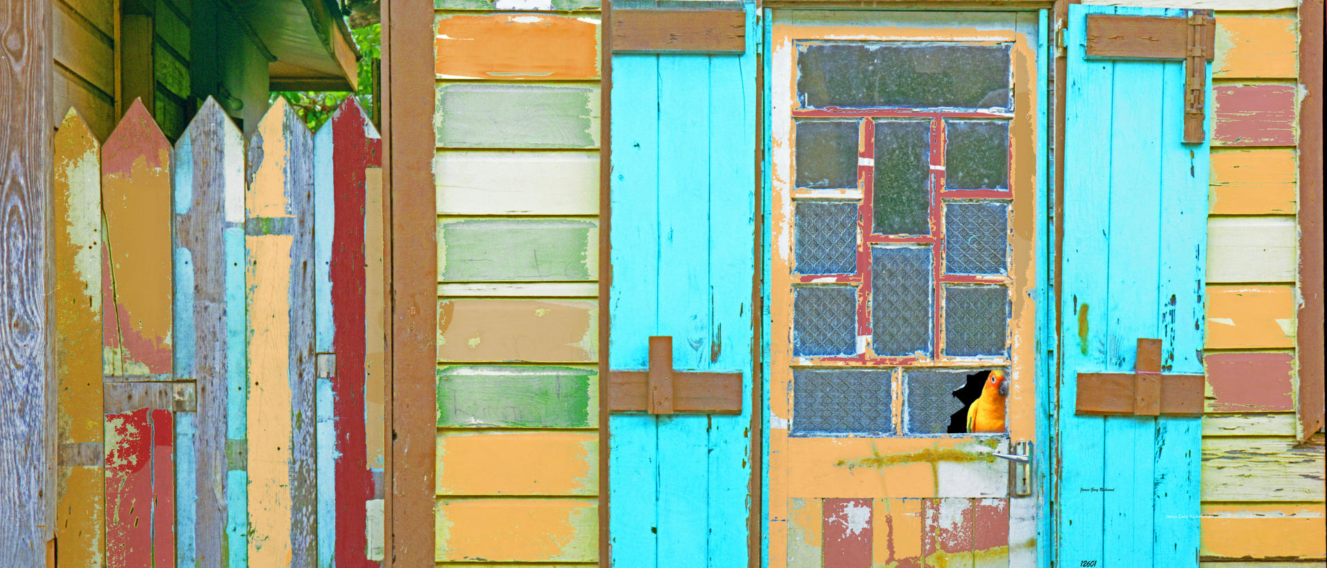 12601p  parrot, architecture, caribbean house, tropical .jpg