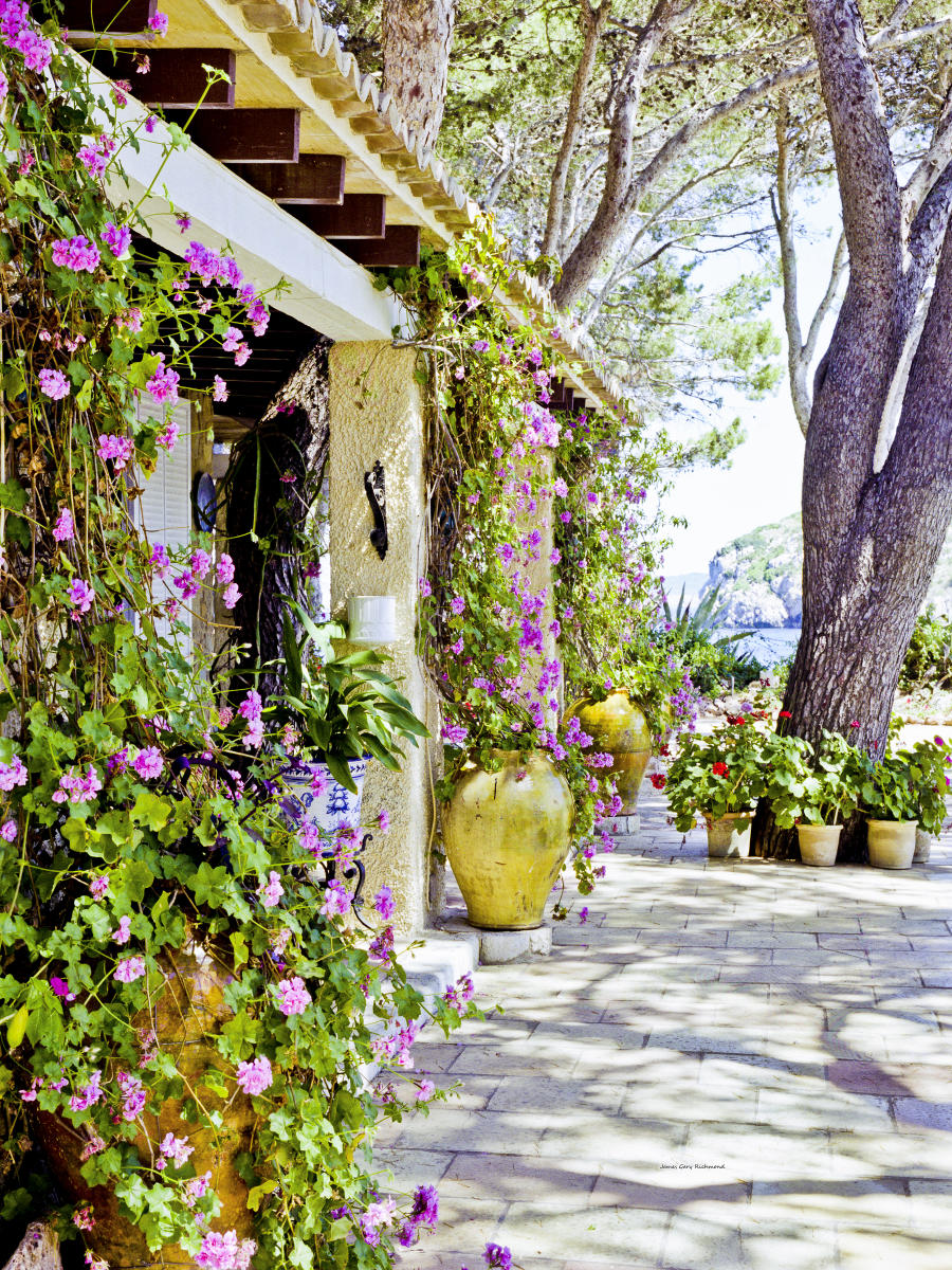 14321 architecture, mallorca, , mediterranean, floral,.jpg