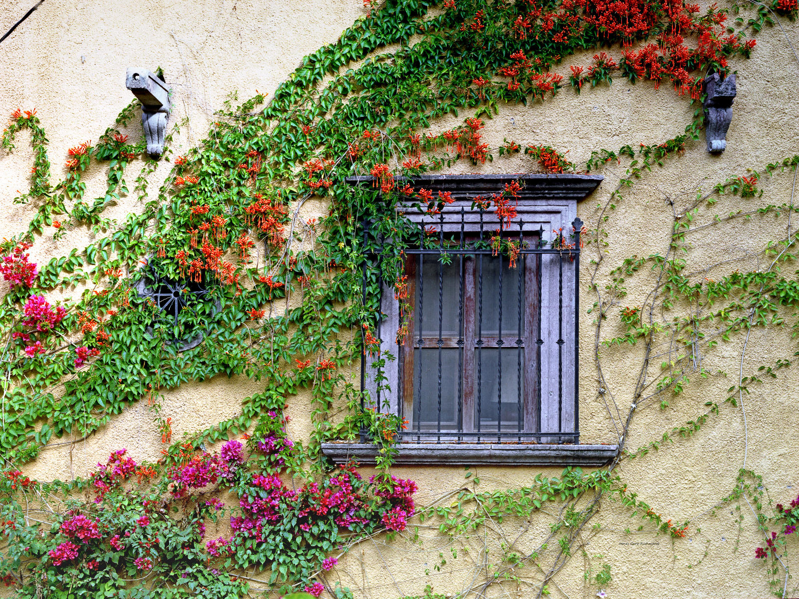 15160 architecture, window, floral .jpg