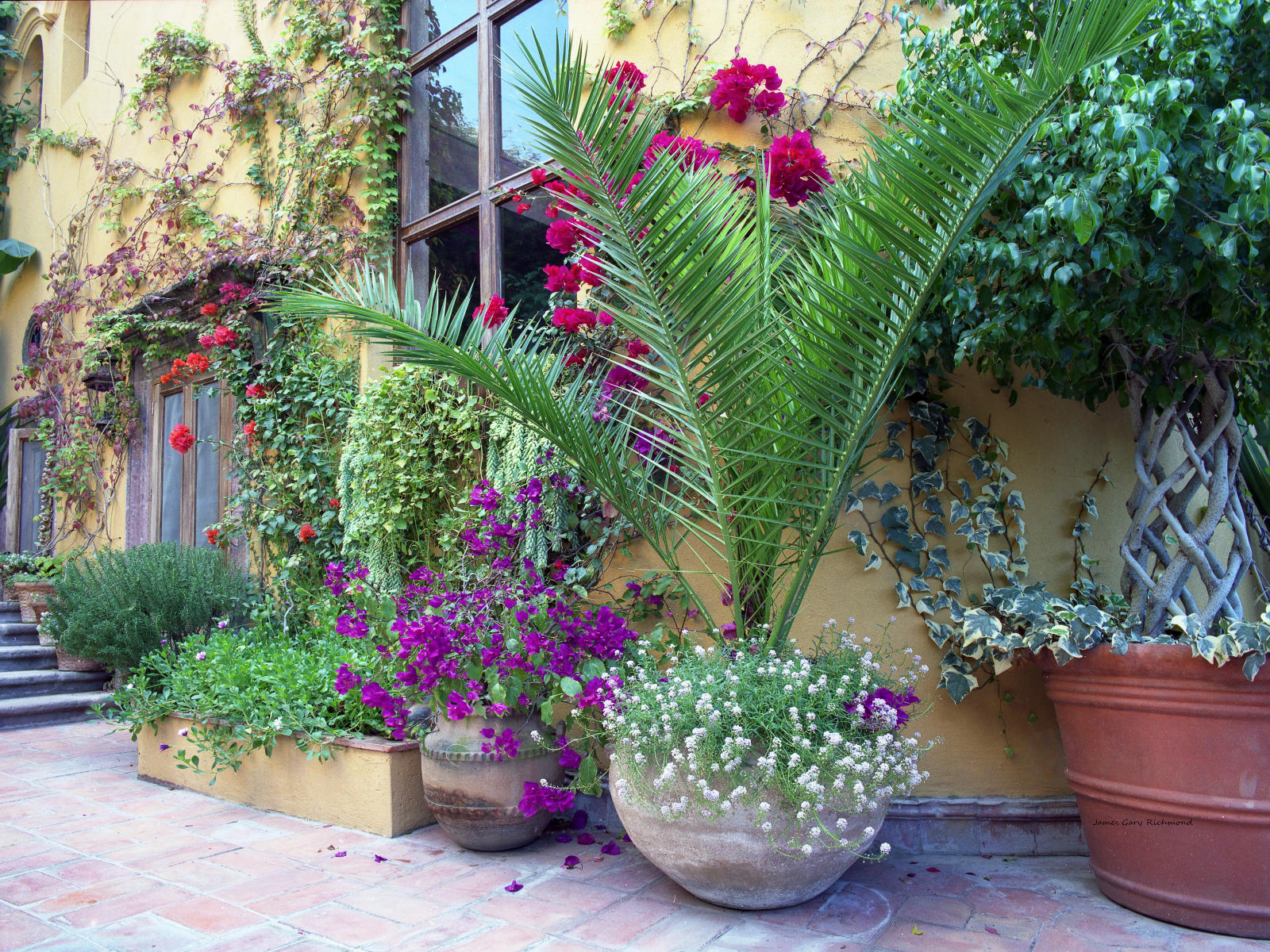 15175 architecture, floral, courtyards, .jpg