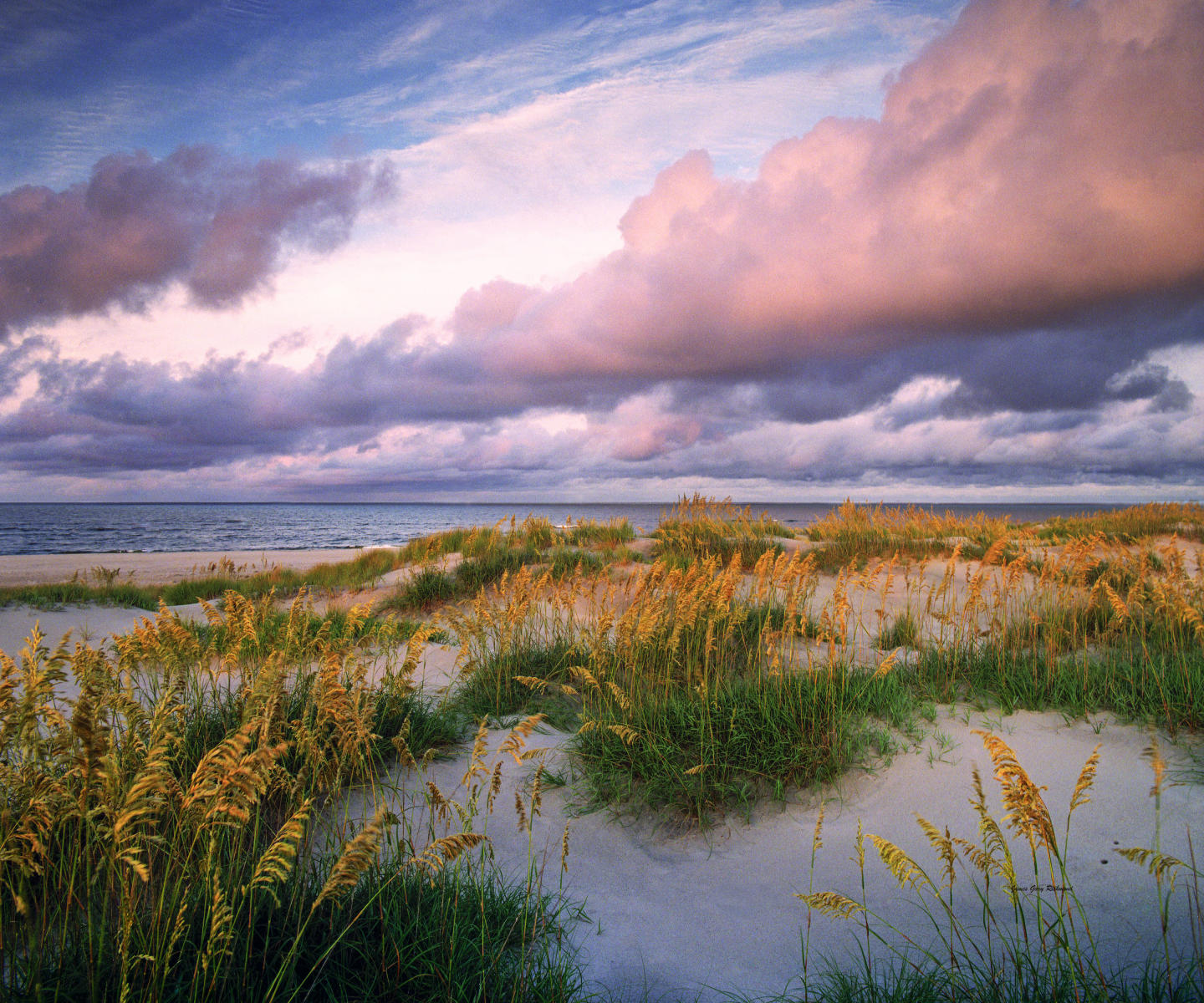 17131 seascape, beach, dramatic lighting  .jpg