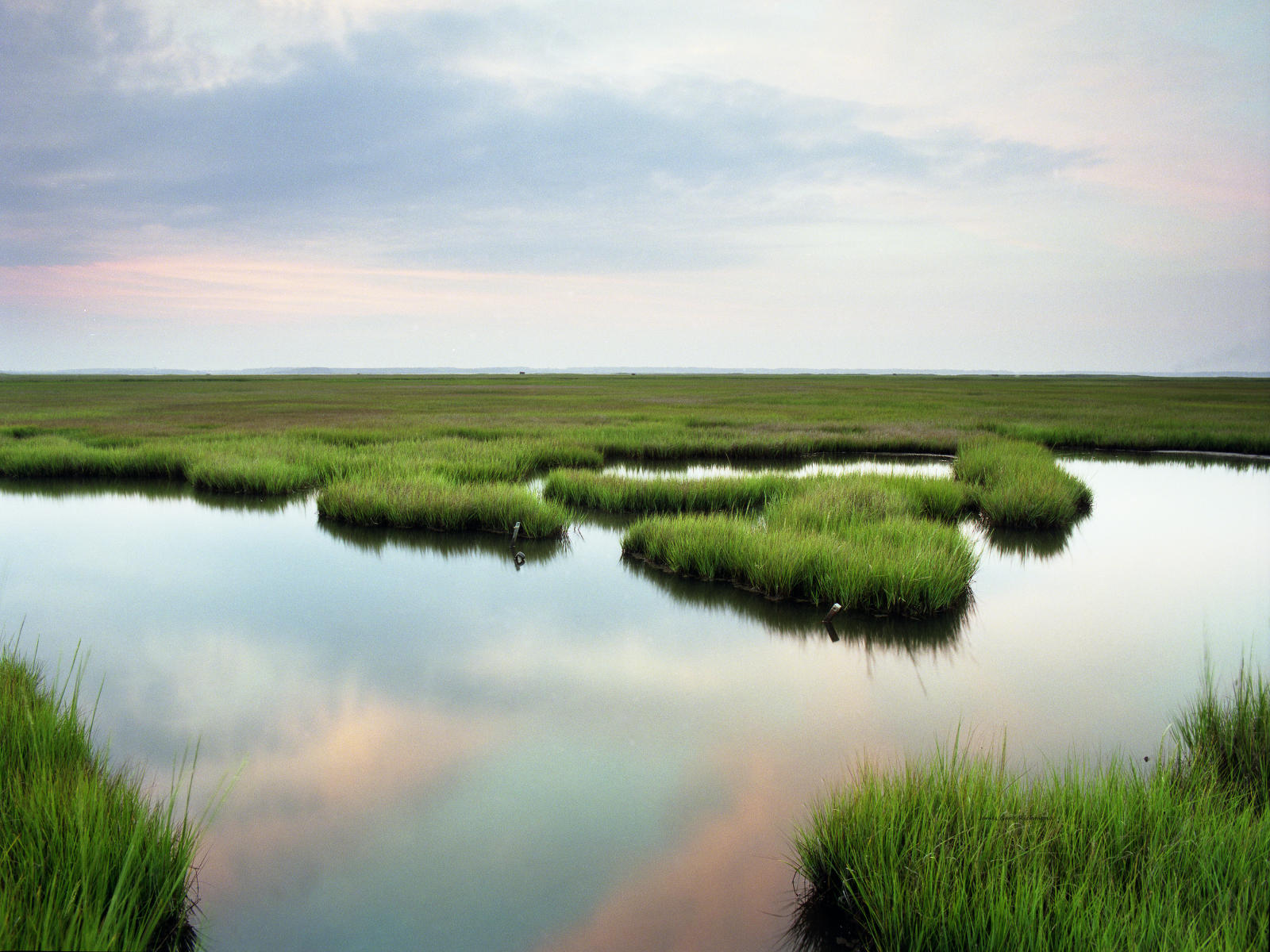 17193  nature, marsh, wetlands, sunrise, .jpg