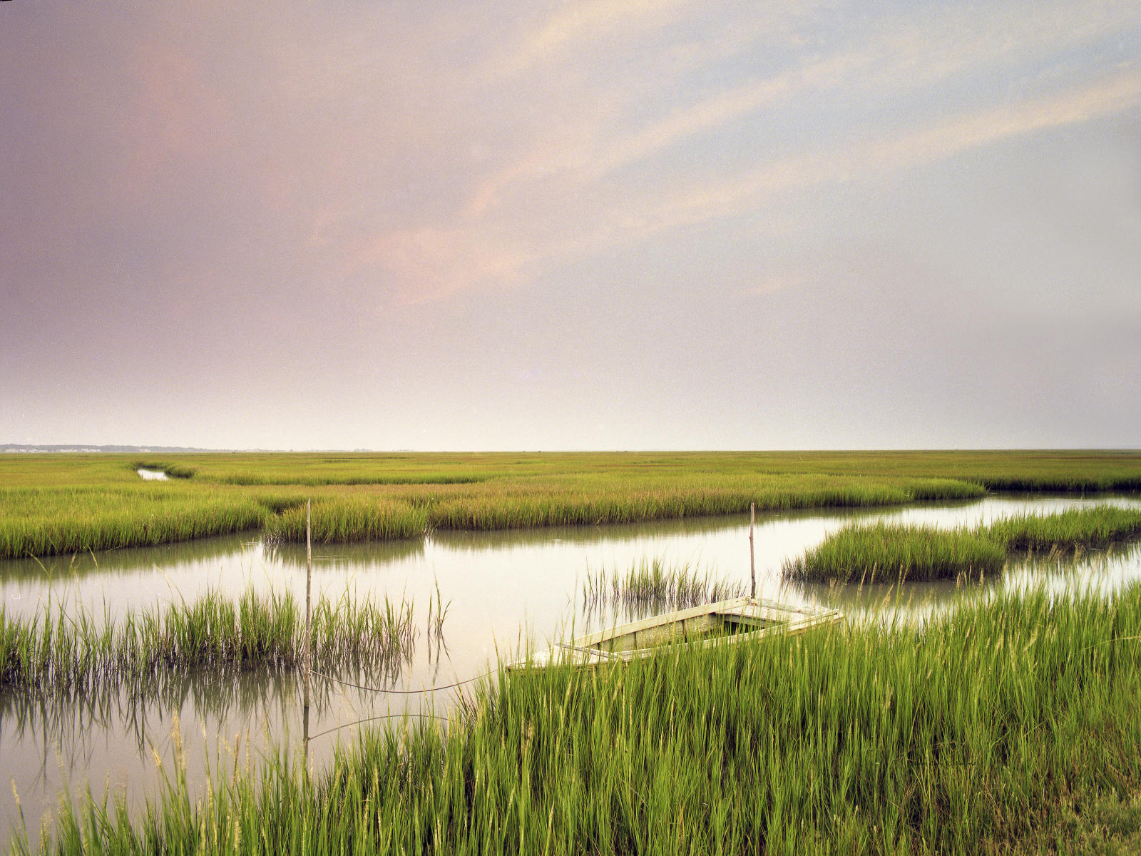 17206 nature, wetlands, marsh, .jpg