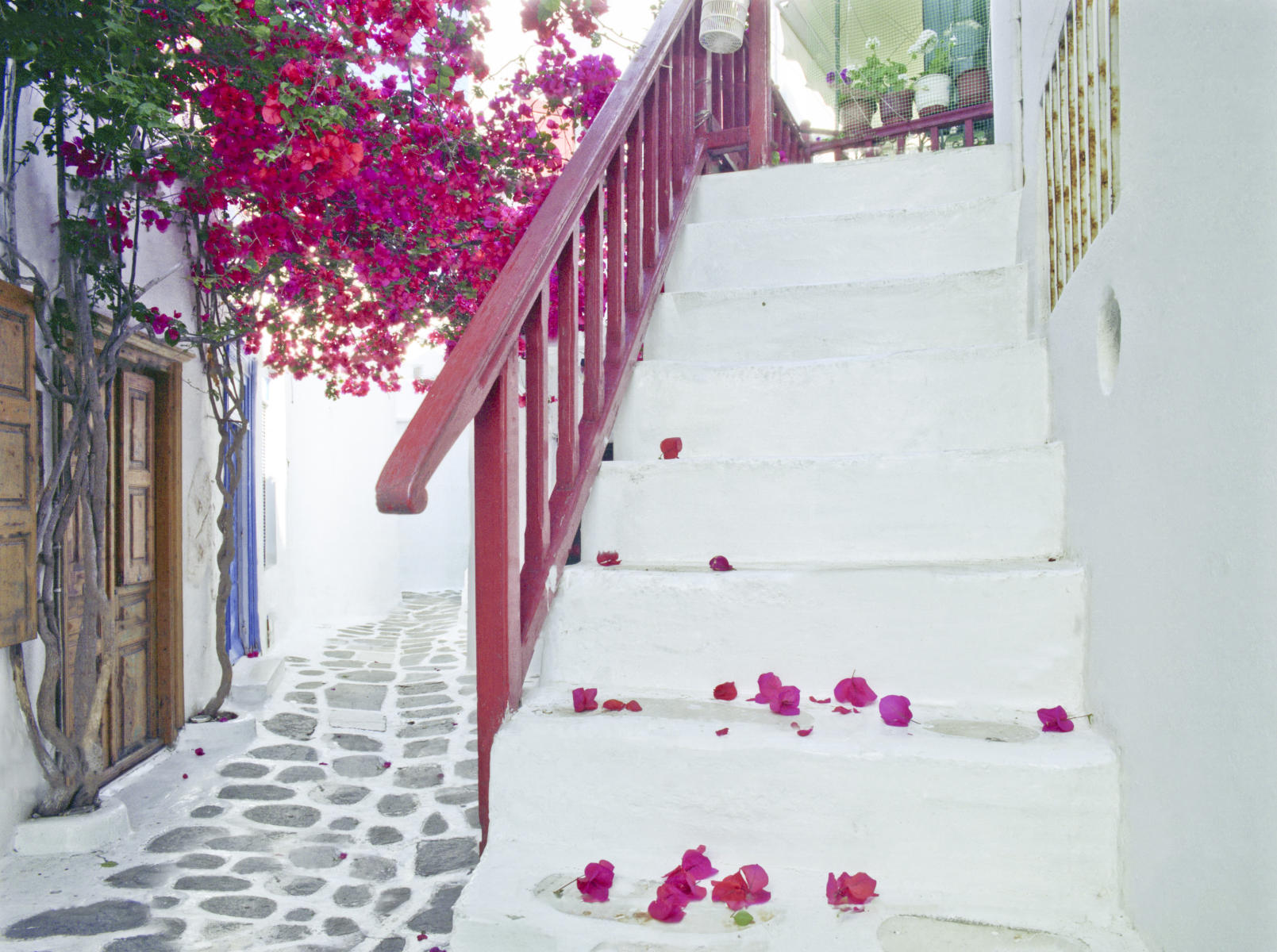 18646 architecture mykonos, stairs, bouganvilla.jpg
