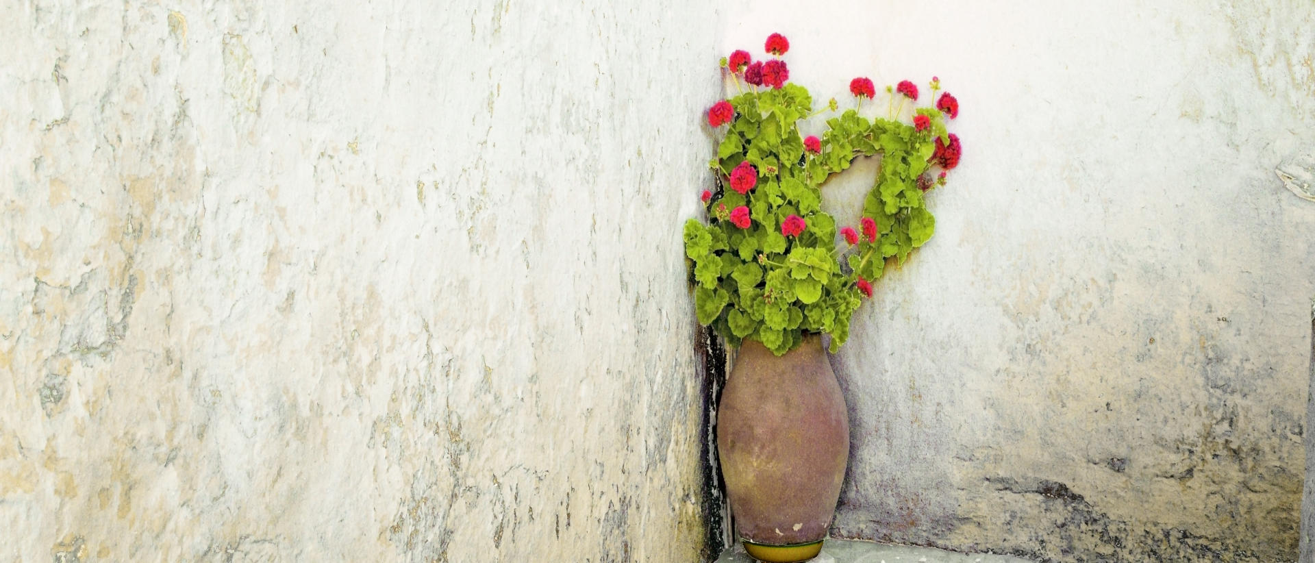 18684p architecture,  mykonos potted plant, old wall, .jpg