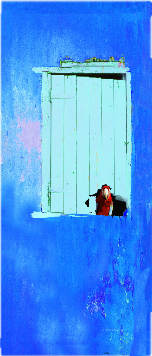 19004 blue version  red mccaw red door gold and red cat island bahamas caribbean shutters house grand turk 6x14.jpg