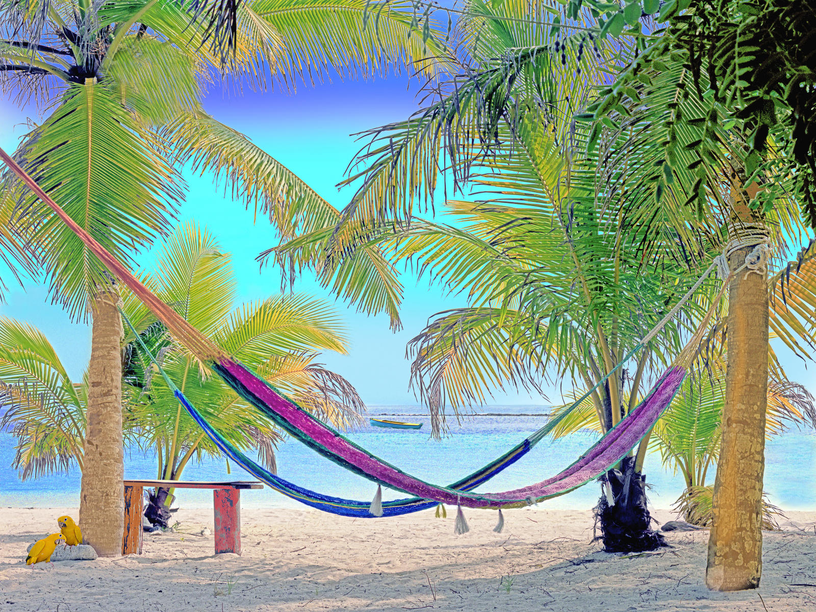 20023 seascape, painted, tropical, belize, .jpg