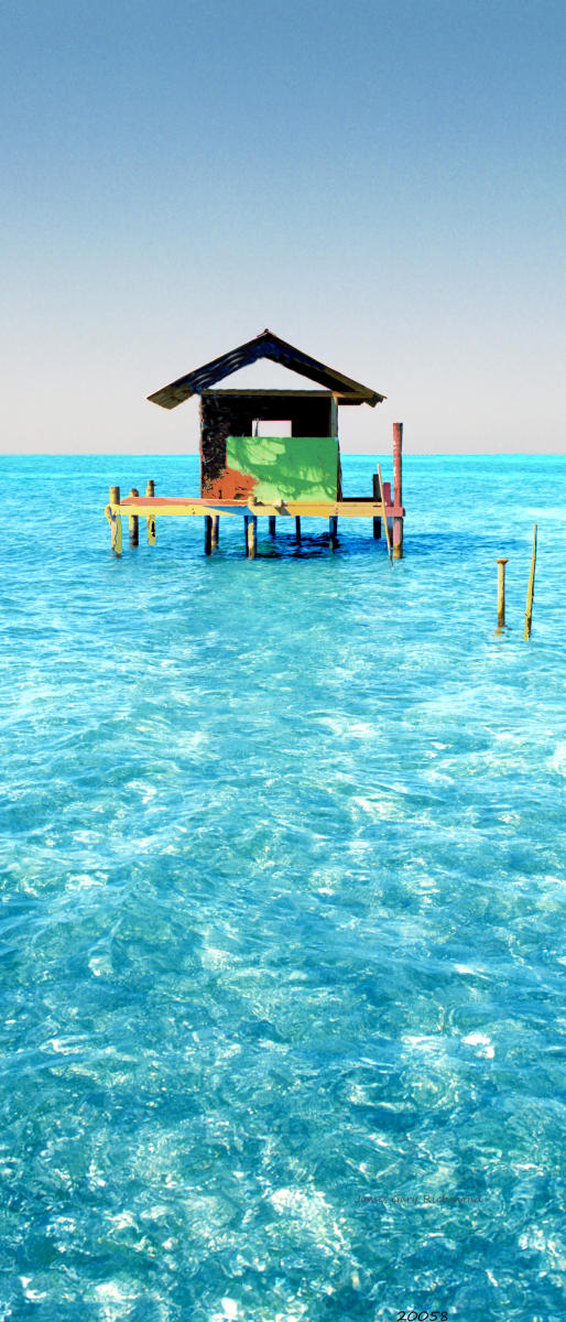 20058p seascape, tropical, painted, 6x14.jpg