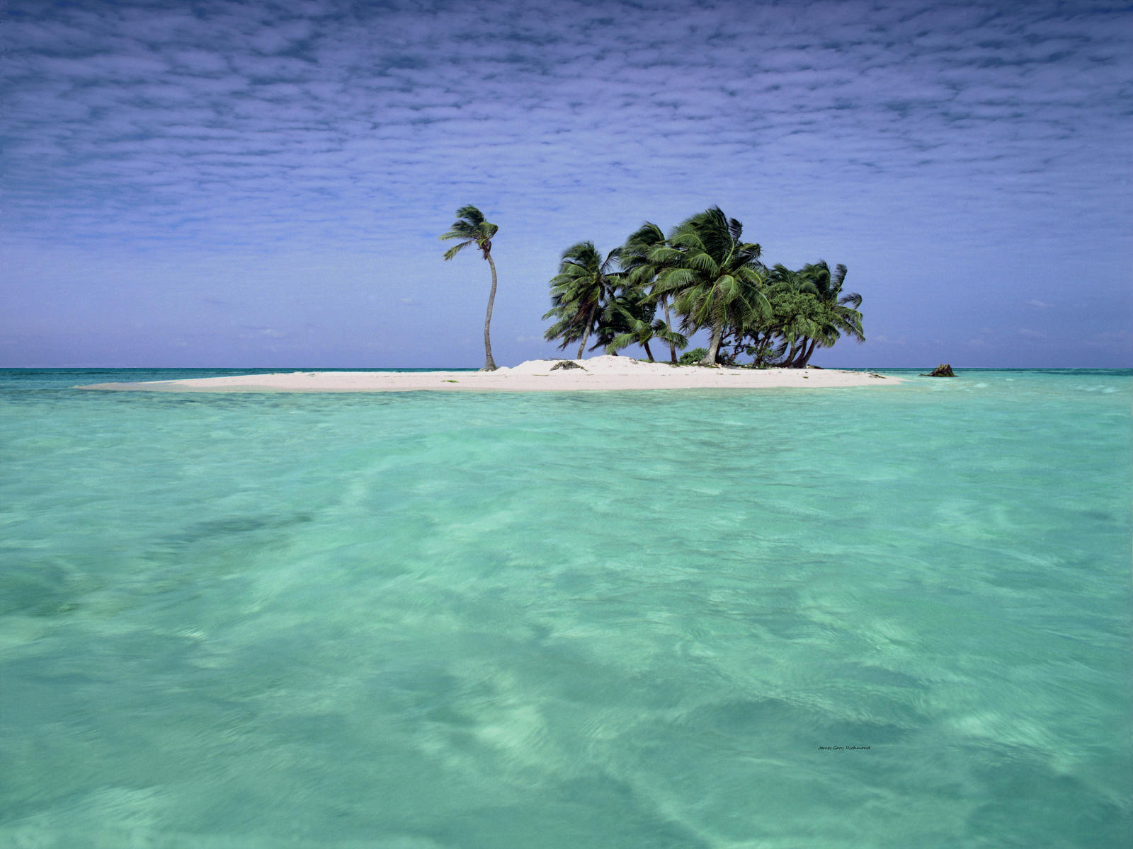20236 seascape, caribbean, islands, tropical, coconut trees .jpg