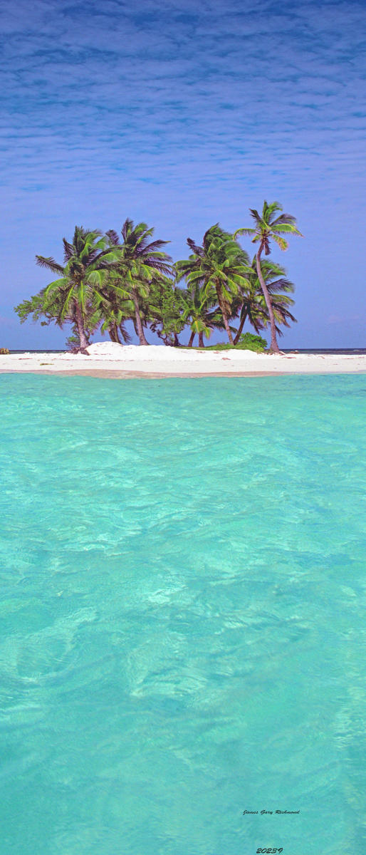 20239p seascape, caribbean, tropical, island .jpg