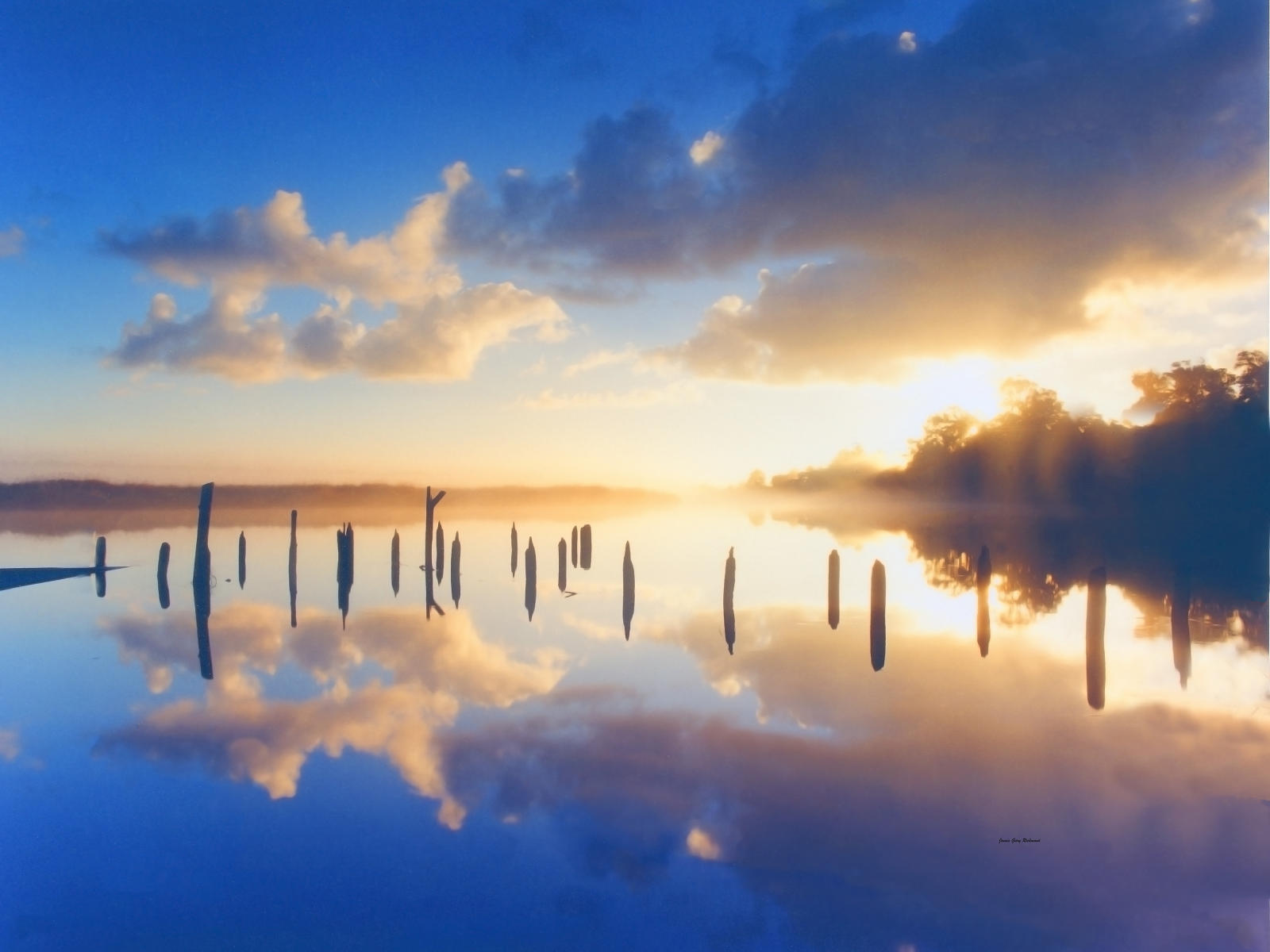 20814 nature, ashley river sunrise, .jpg