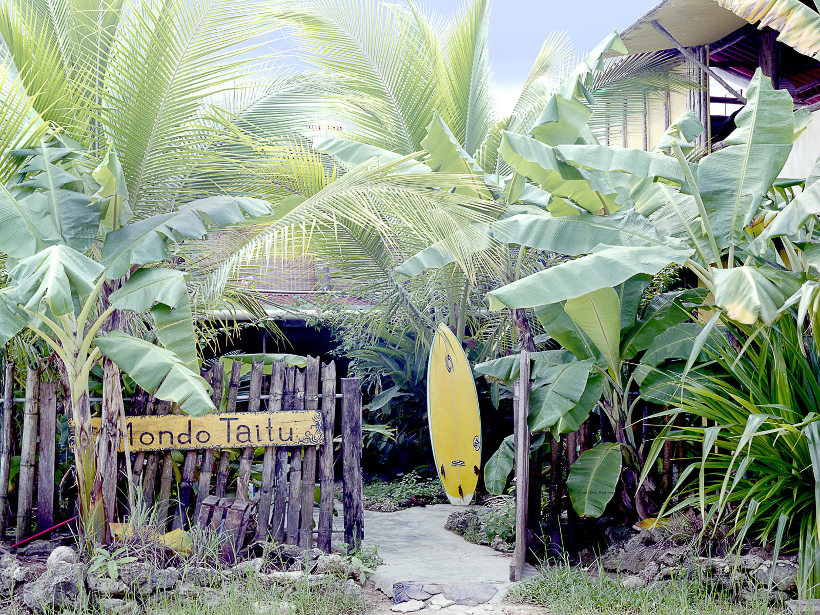 21040  seascape, mondo taitu, caribbean, tropical, .jpg