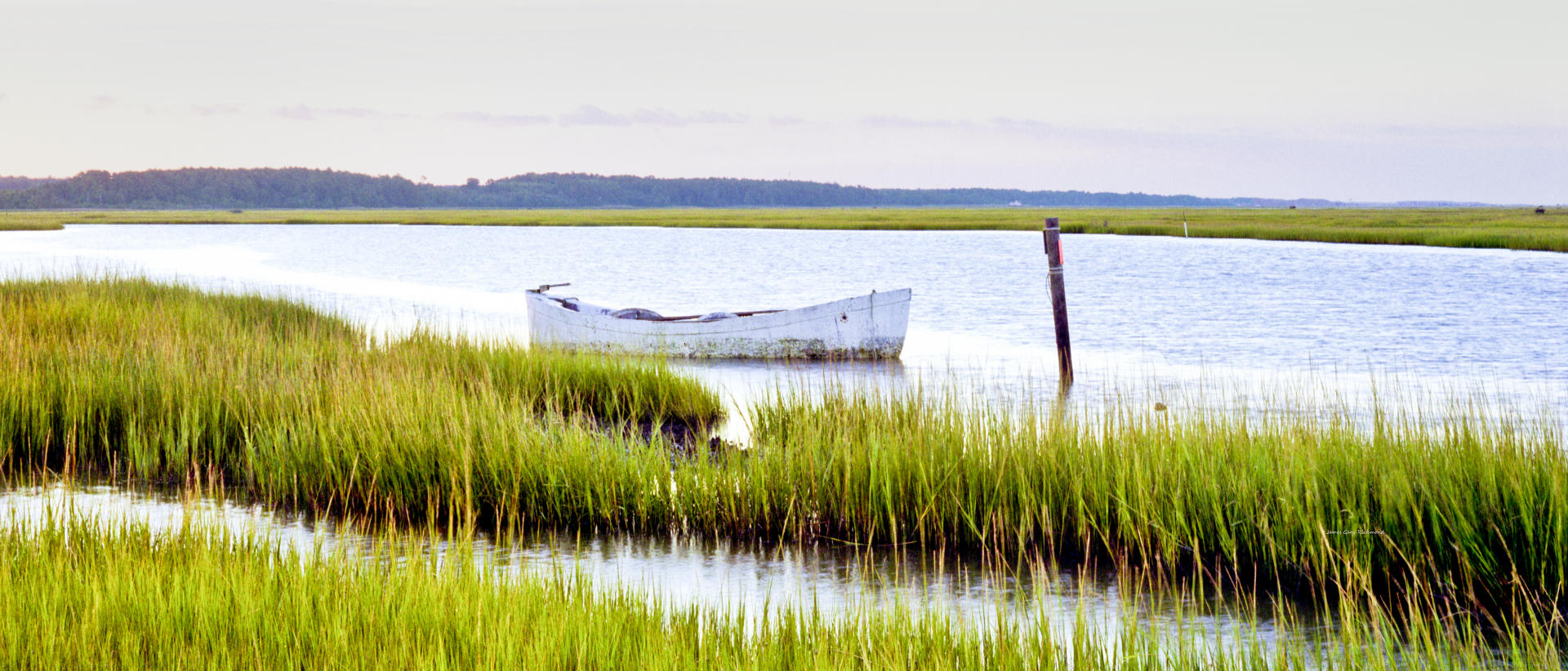21157p nature, wetlands, marsh, boat, .jpg