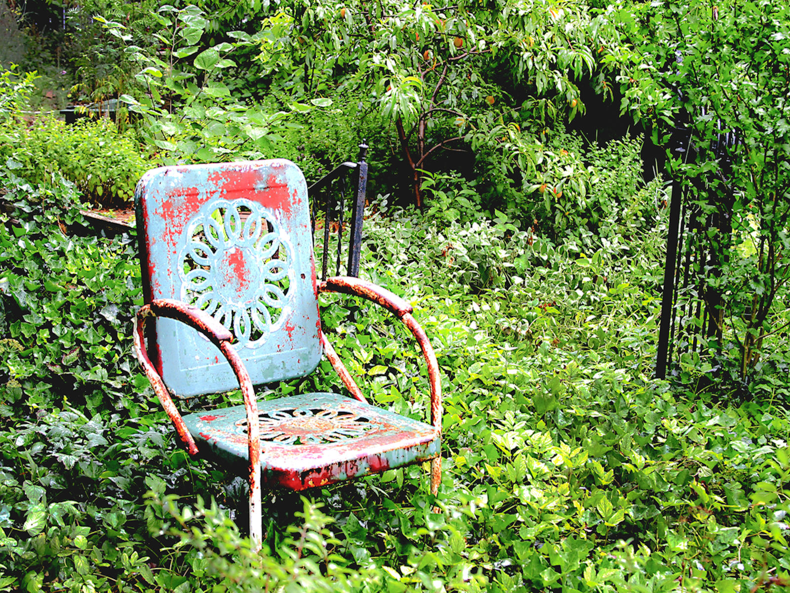 21702  nature,  garden chair .jpg