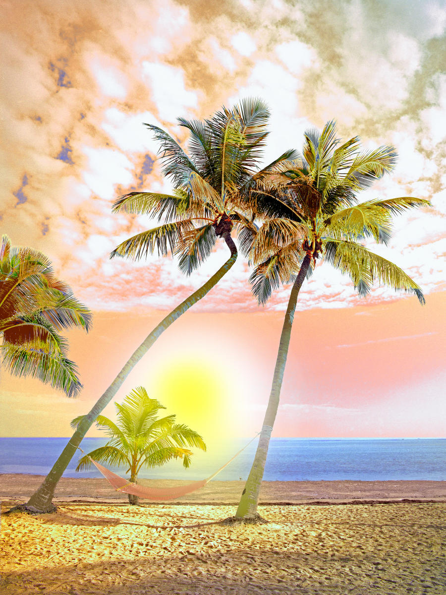 21764 seascape, hand painted, tropical 9x12.jpg