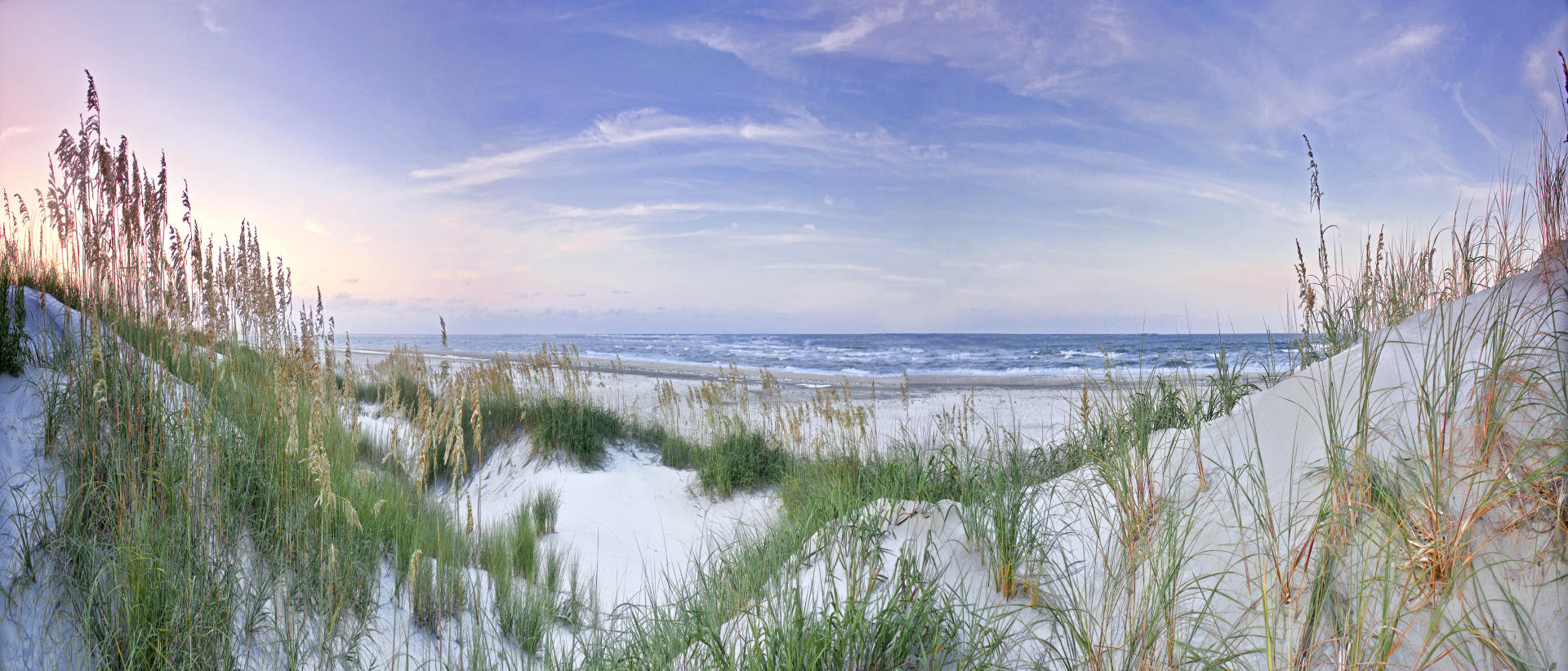 21829p  seascape, beach, seaoats, dunes, .jpg