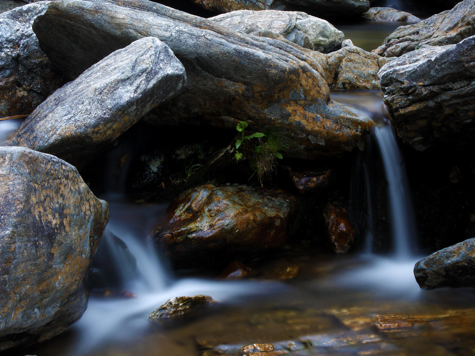 22598 nature, river, blue ridge .jpg
